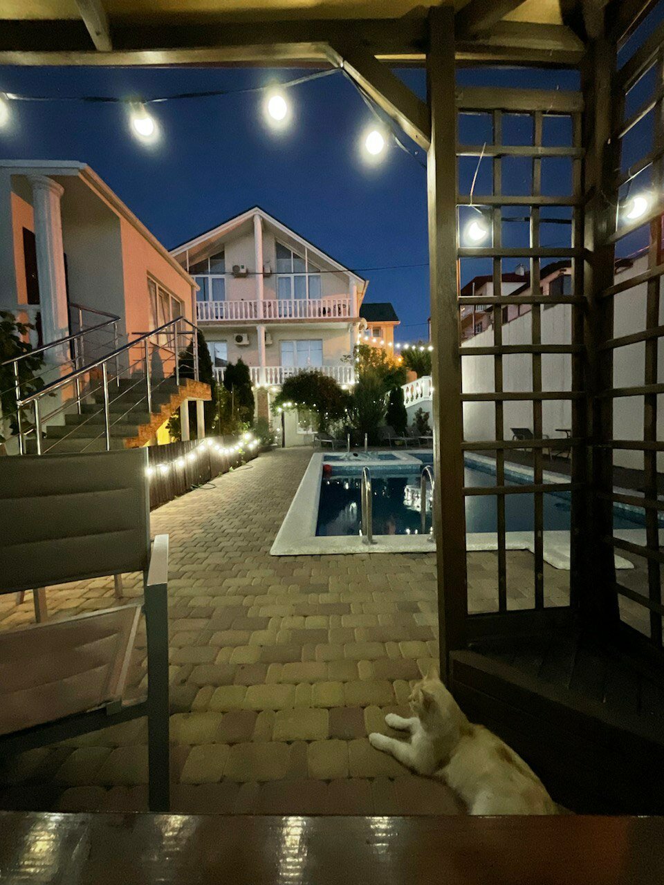 Фото Прованс