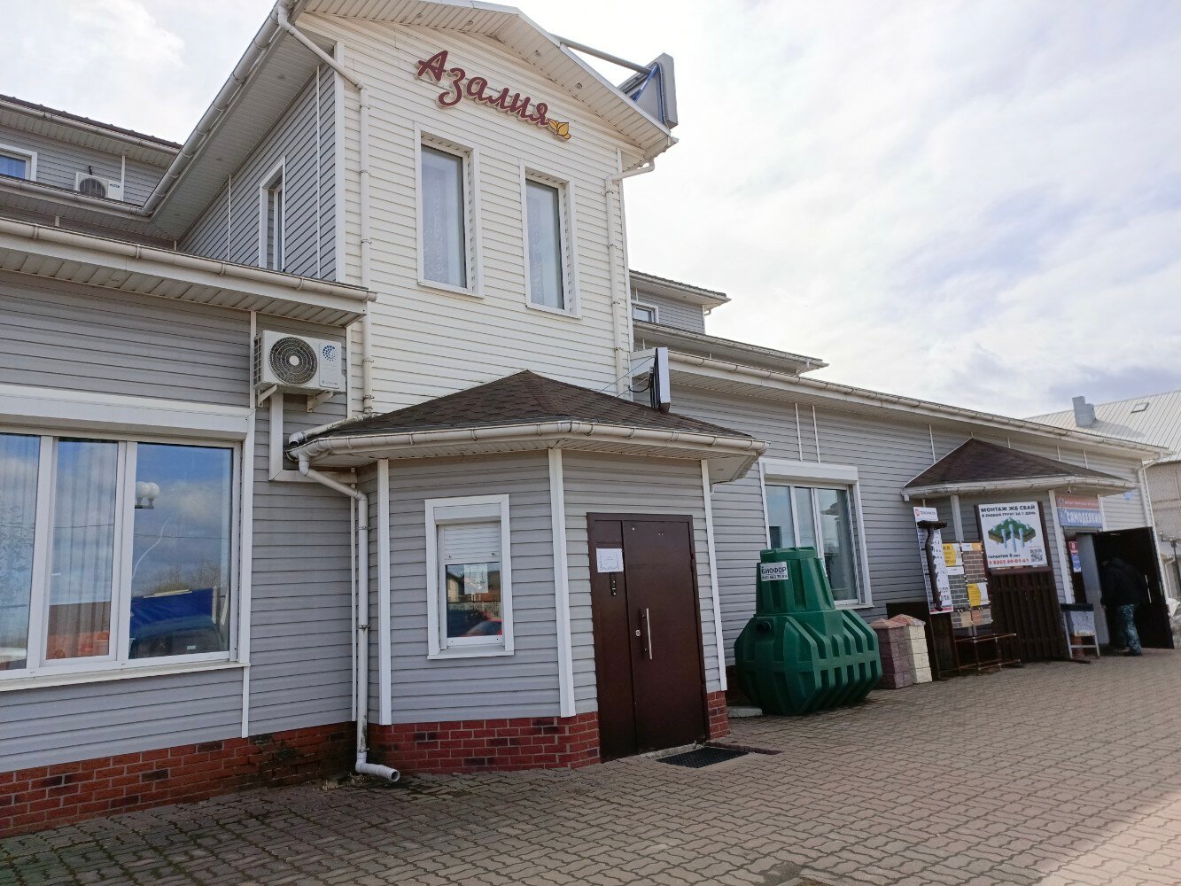 Фото Азалия