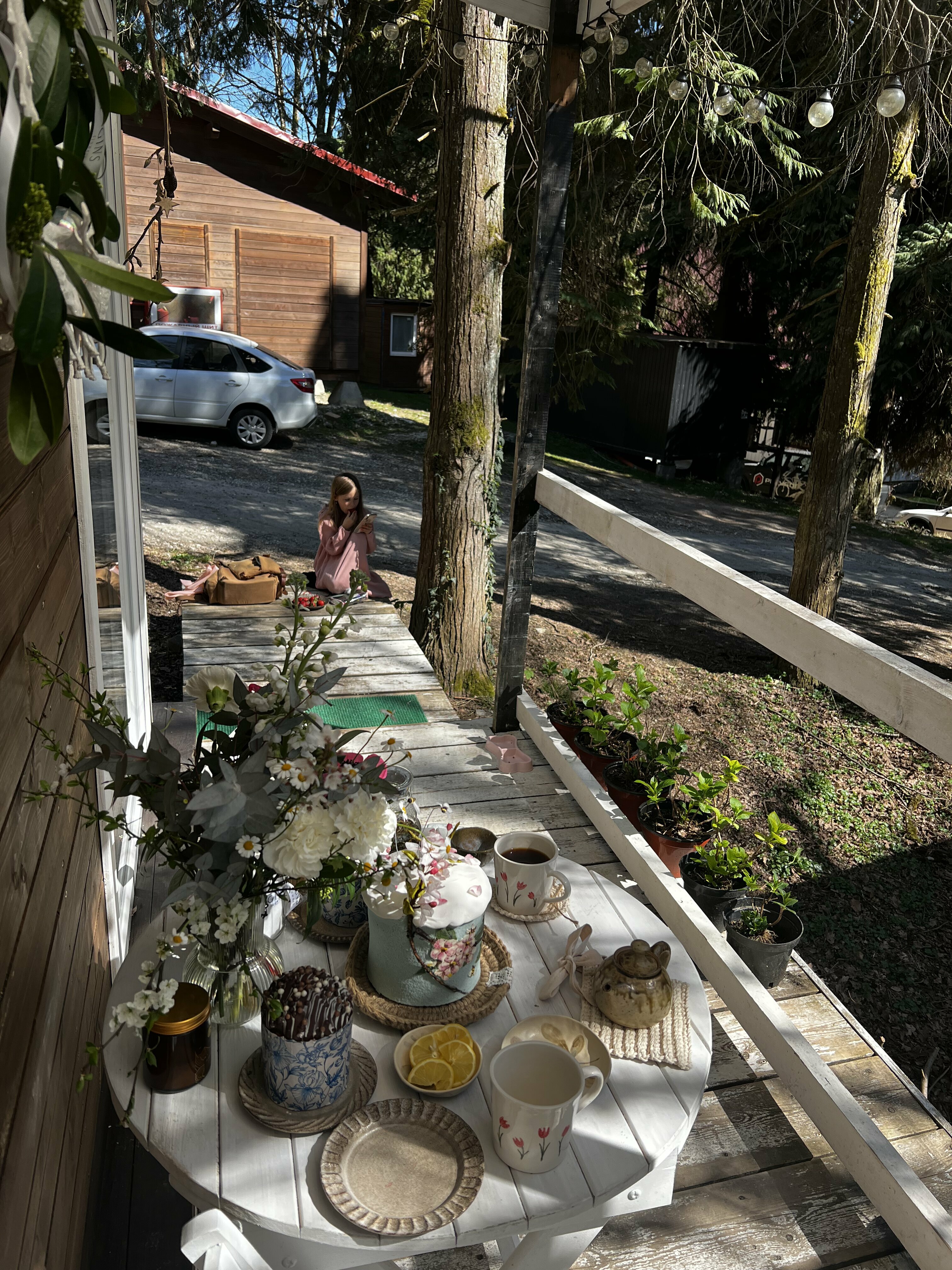 Фото Зайки в домике