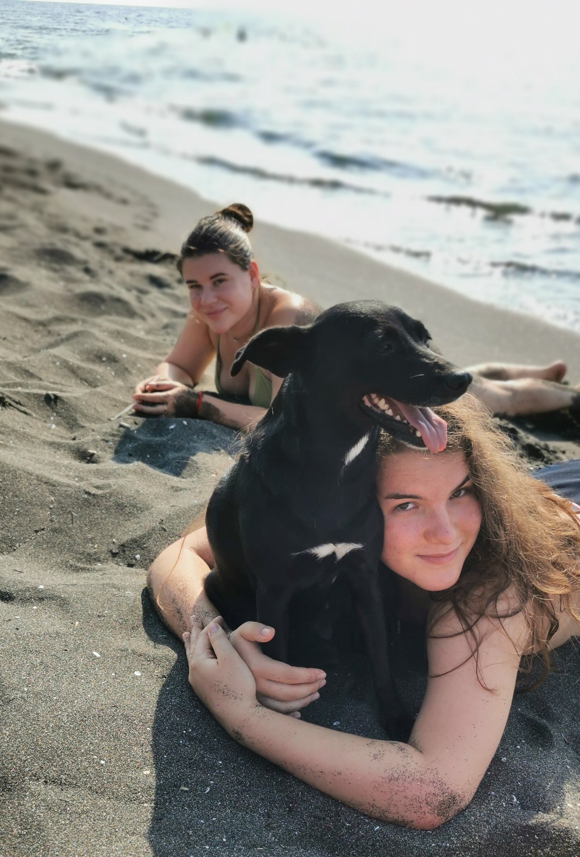 Фото Solo Apartments