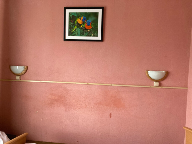 Фото Глория