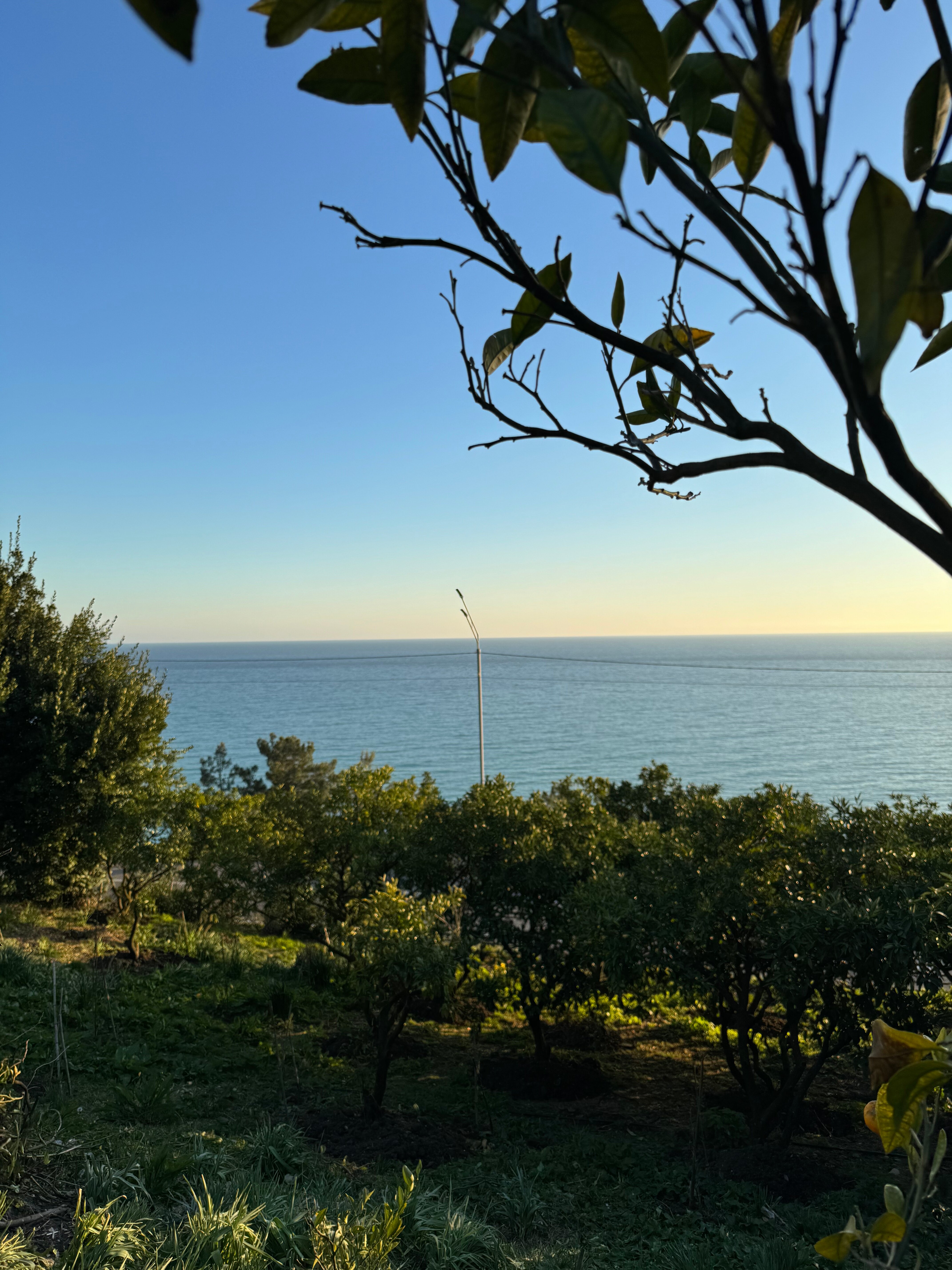 Фото Гостевой дом Ника