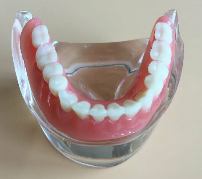 Instant Smile Cozy Flex Teeth False Tooth Cosmetic Veneer Whitening Denture Case
