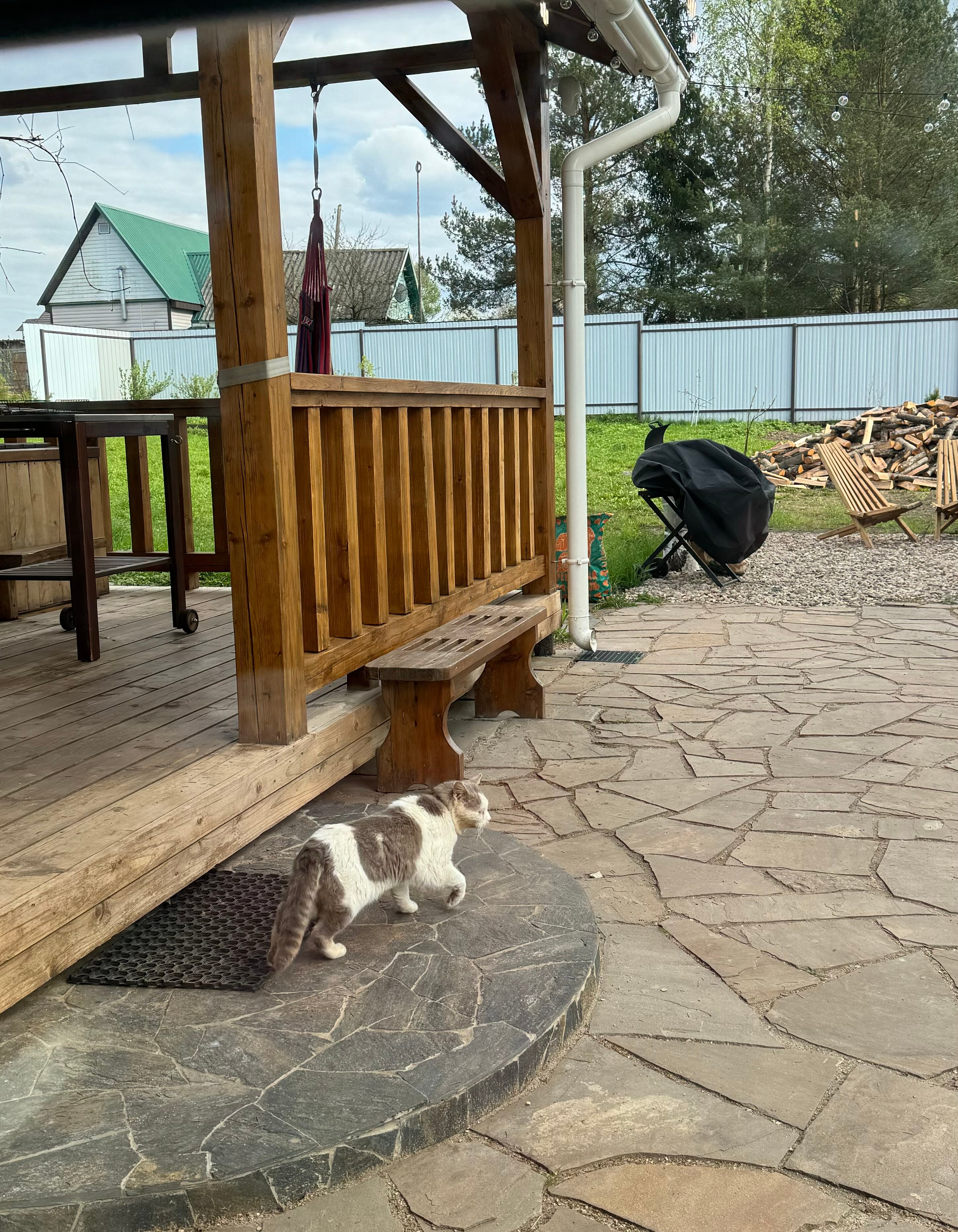 Фото Пенеснарь Home