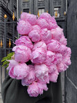 Rosaroom (Kryukova Kanala Embankment, 7/2), flower shop