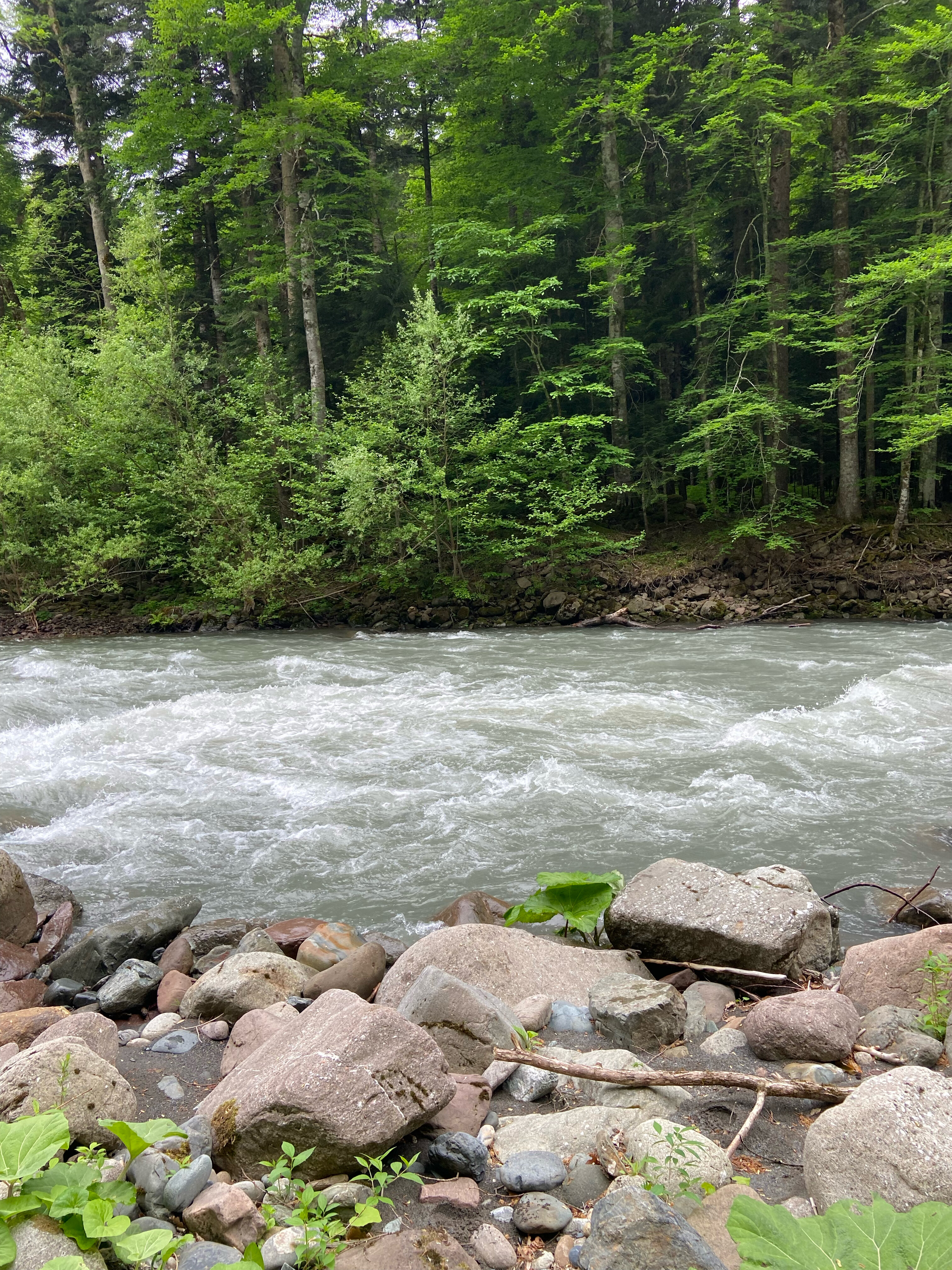 Фото Горный родник