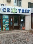 Nice Trip (Kabanbai Batyr Street, 91), agencia de viajes