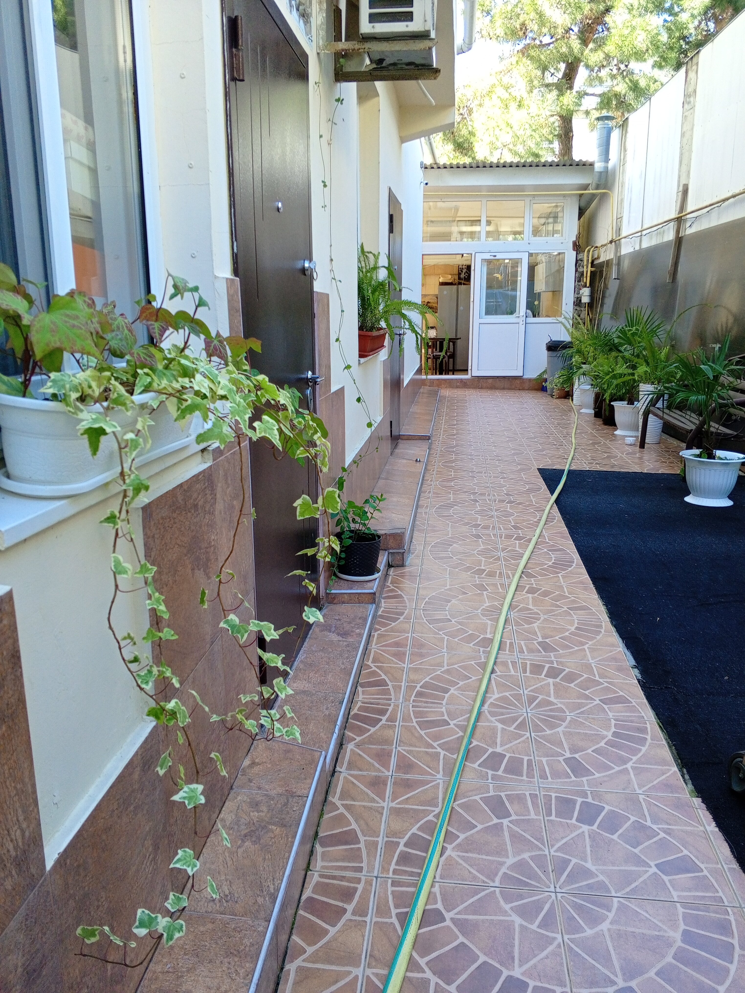 Фото Адлерский