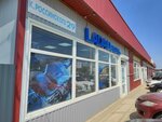 LECAR Store (ulitsa Kirilla Rossinskogo, 29), auto parts and auto goods store