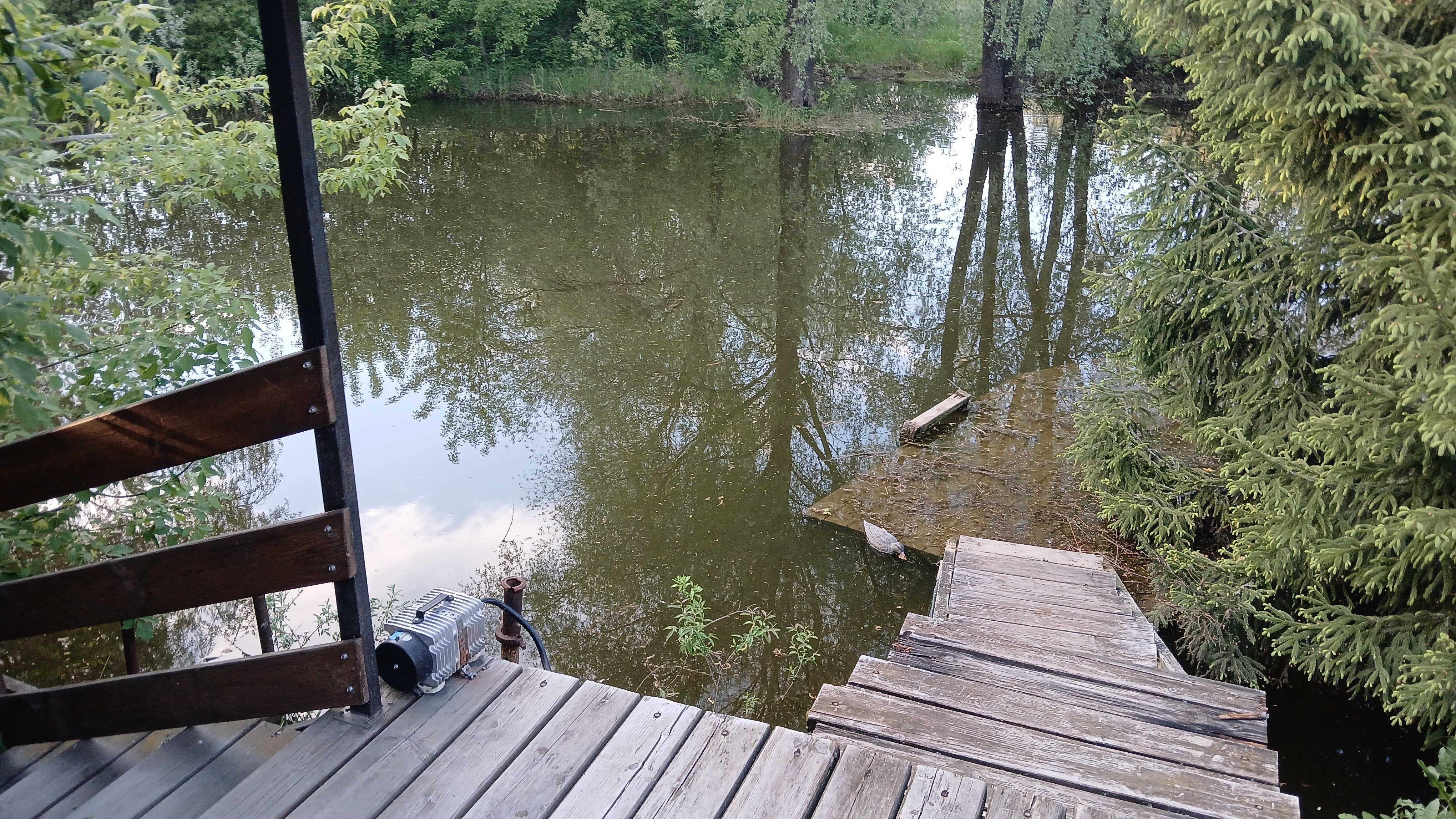 Фото У Борисыча