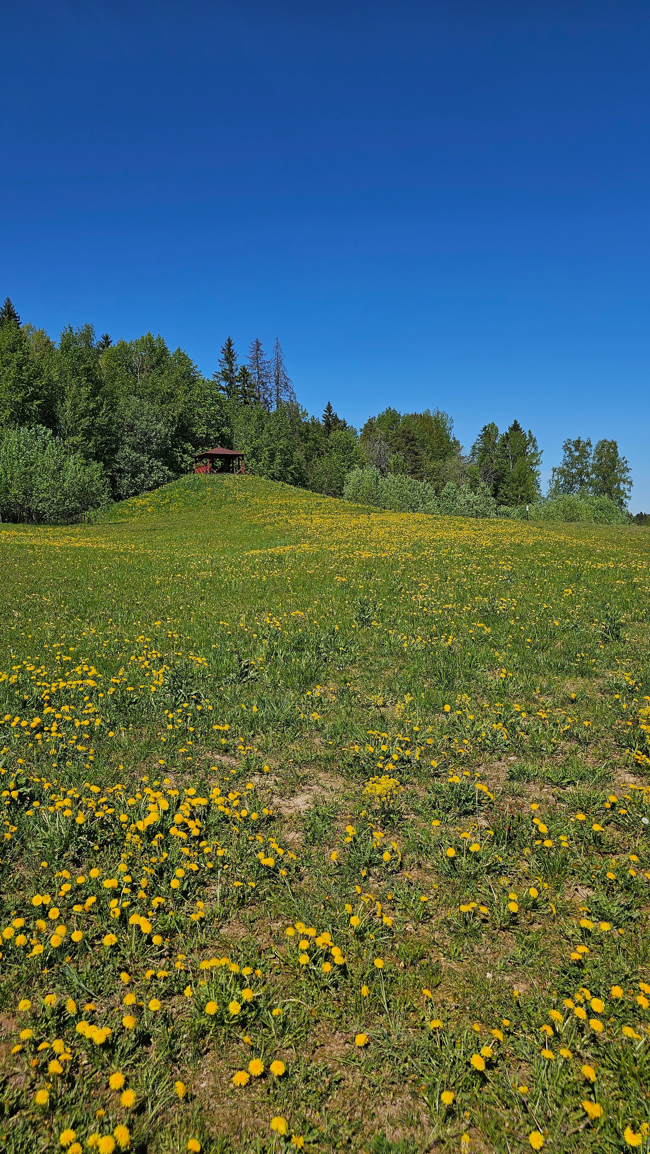 Фото Дача Лаванда