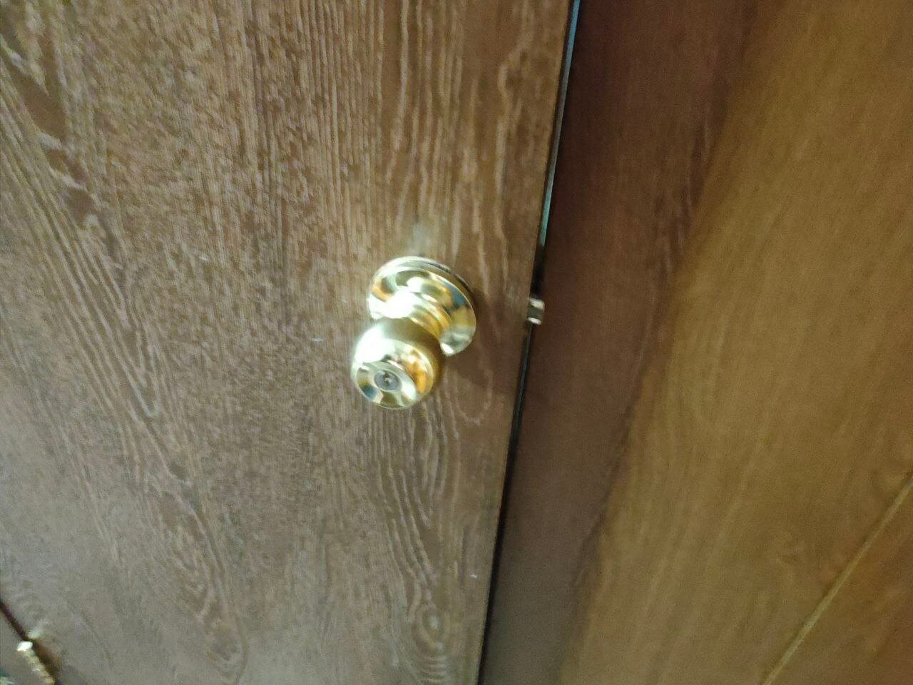 Фото Берёзка