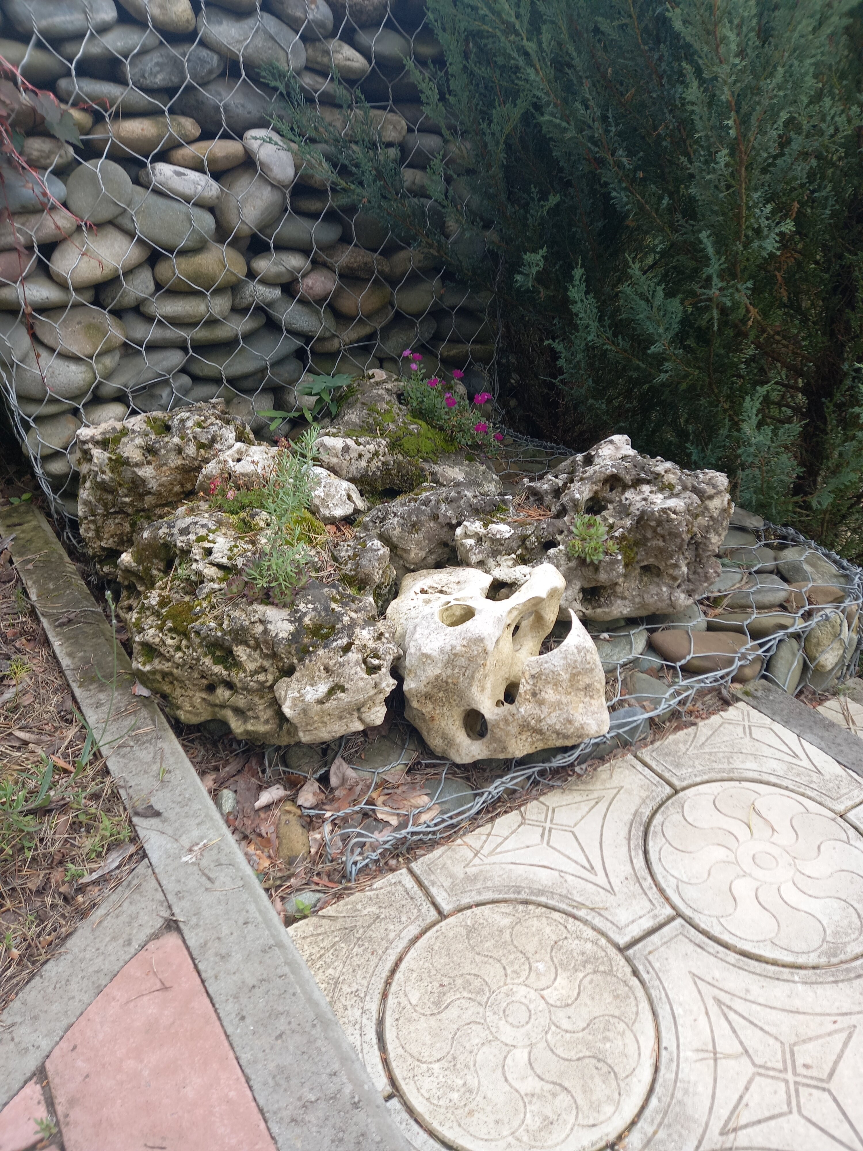 Фото Прохладный