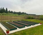 SeverGryadka (Olimpiyskaya Street, 79), greenhouse equipment