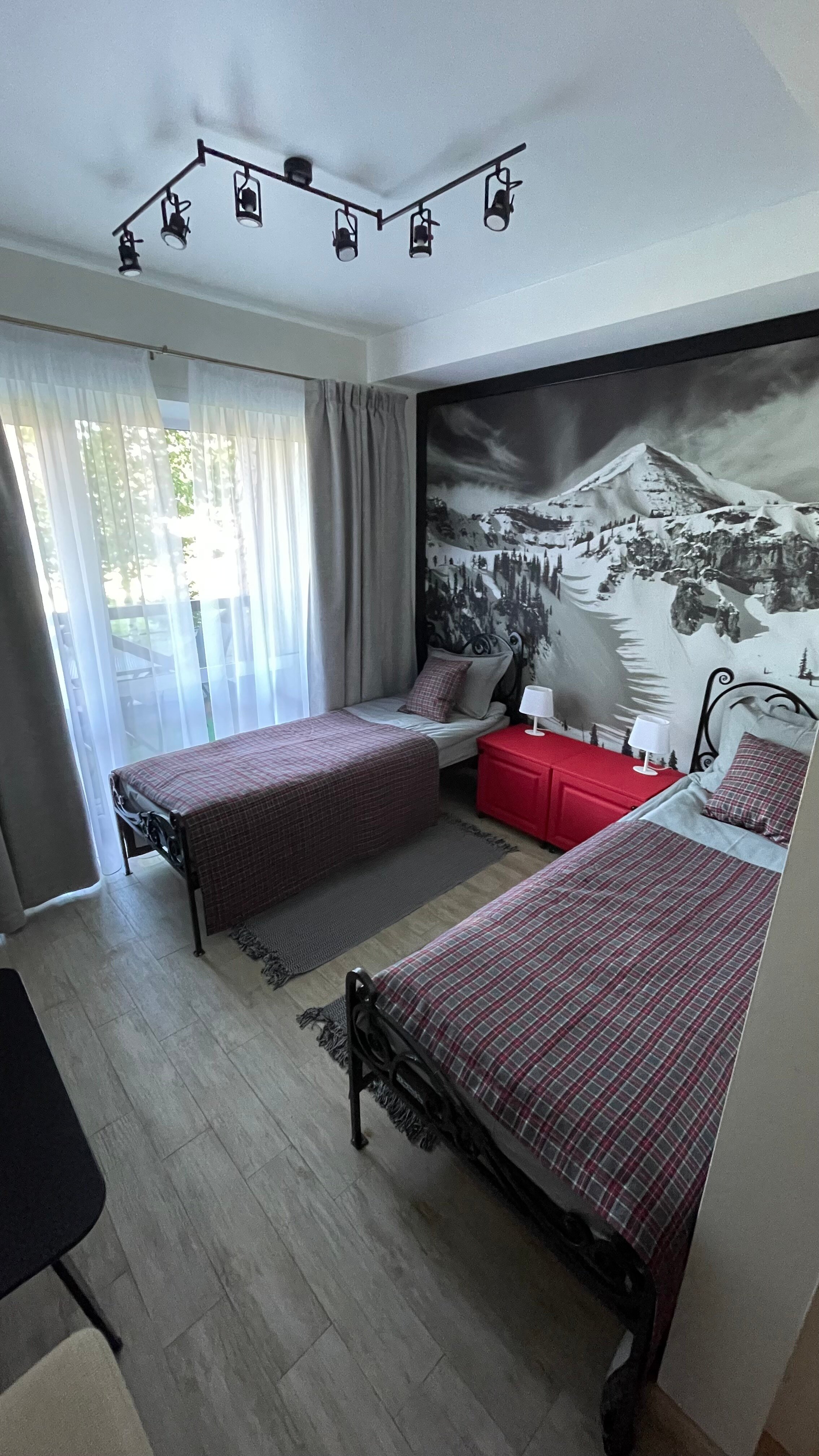 Фото Рыжий кот