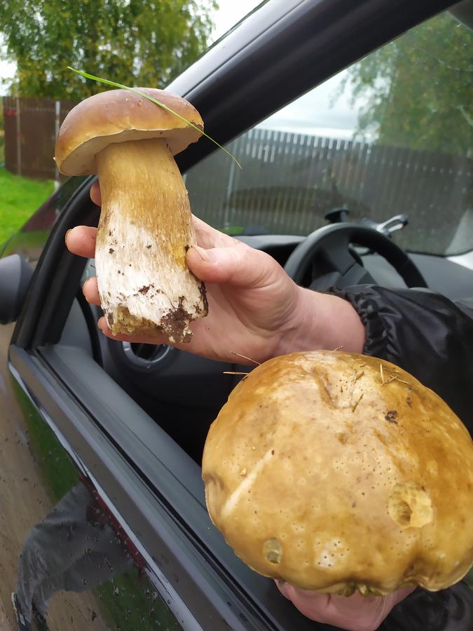 Фото Seliger69.ru