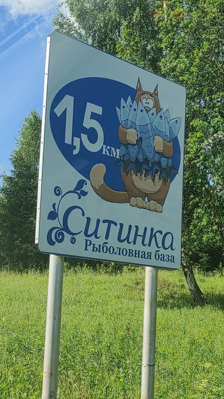 Фото Ситинка