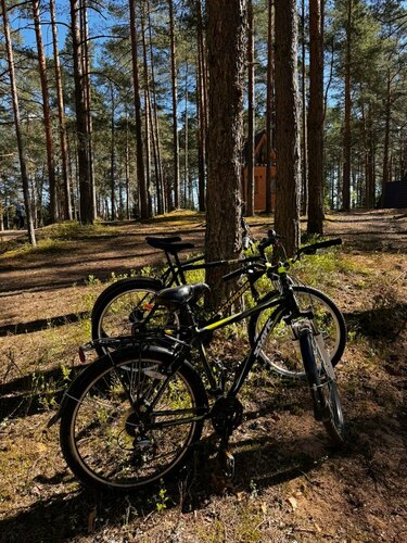 Дом отдыха Орша Ривер Клаб в Твери