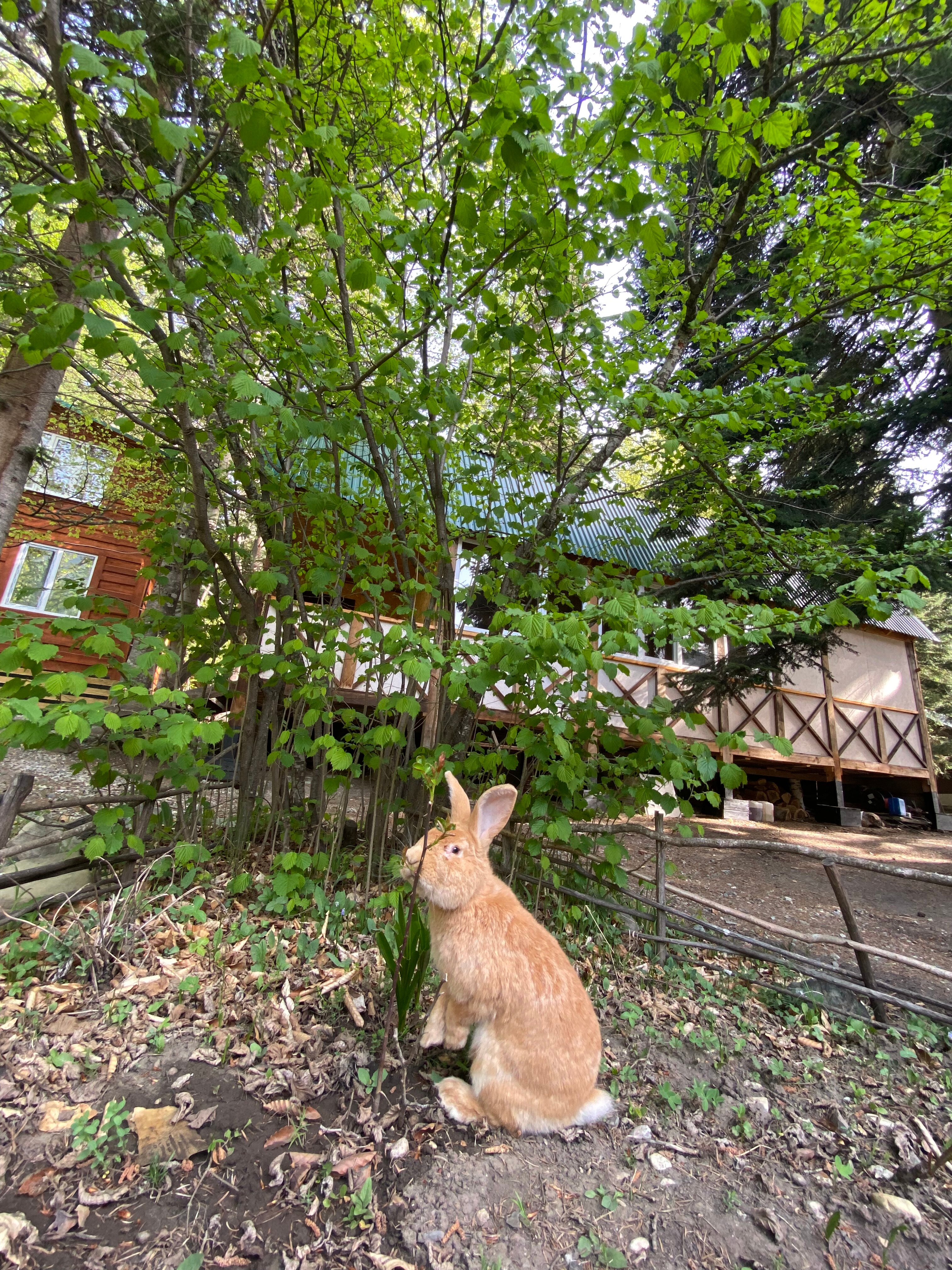 Фото Атмосфера Архыз