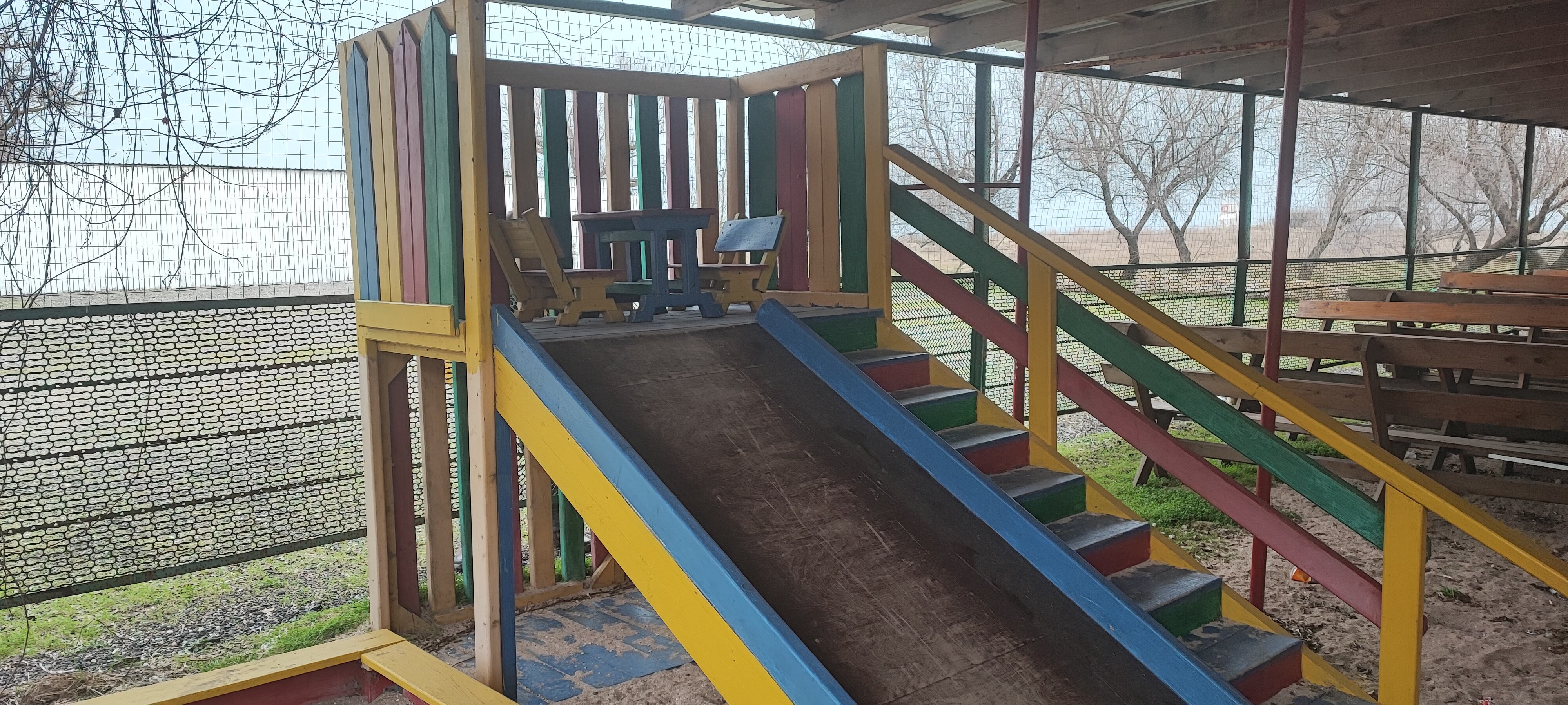 Фото Форест