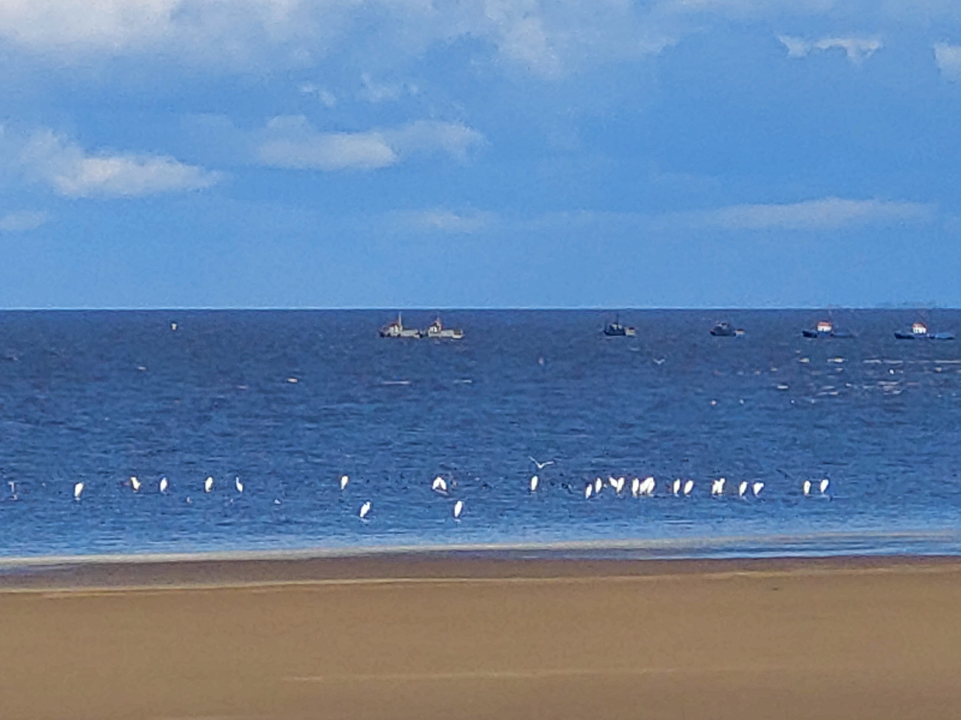 Фото Усадьба Южный Берег