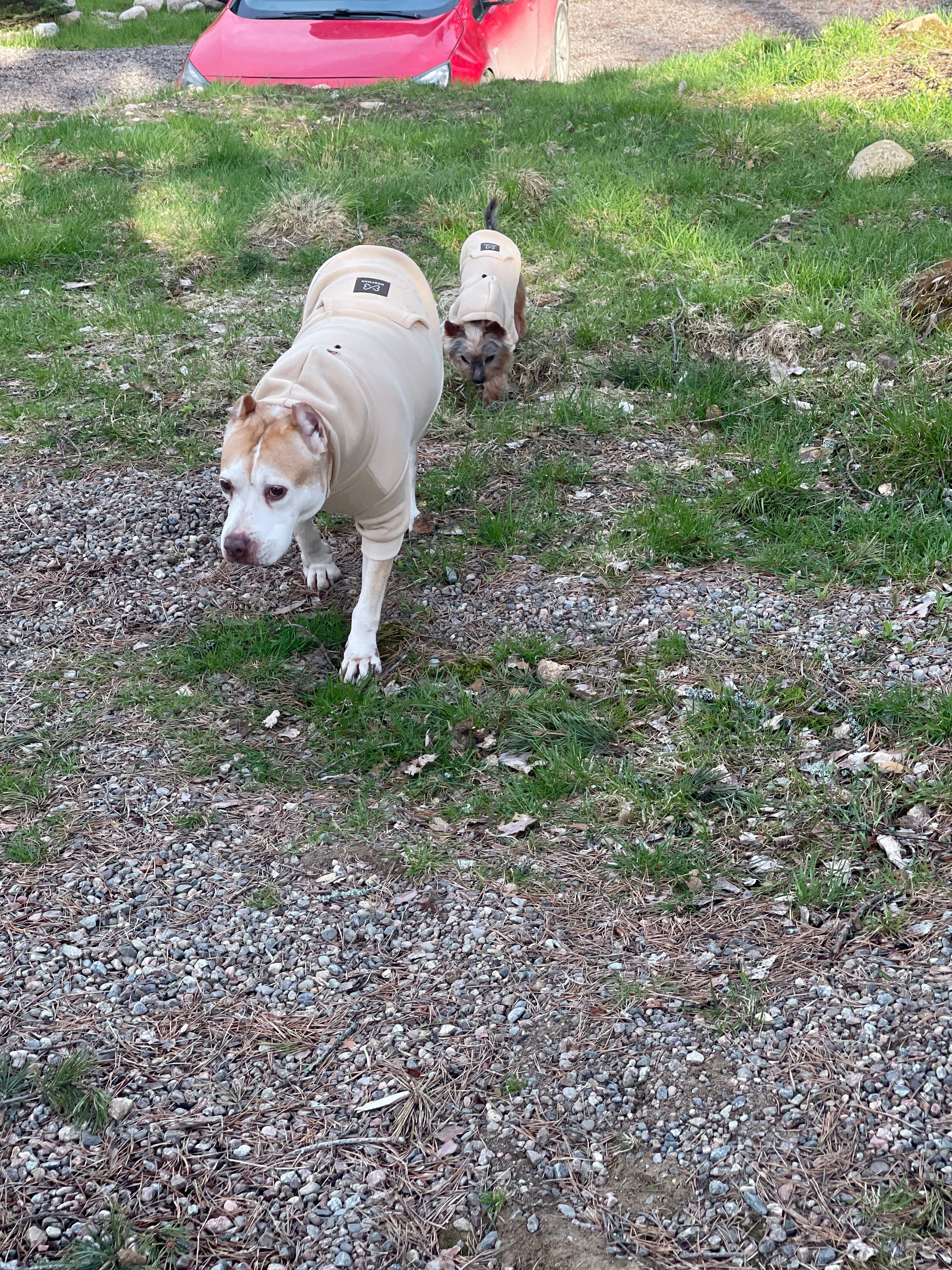 Фото Belka Village