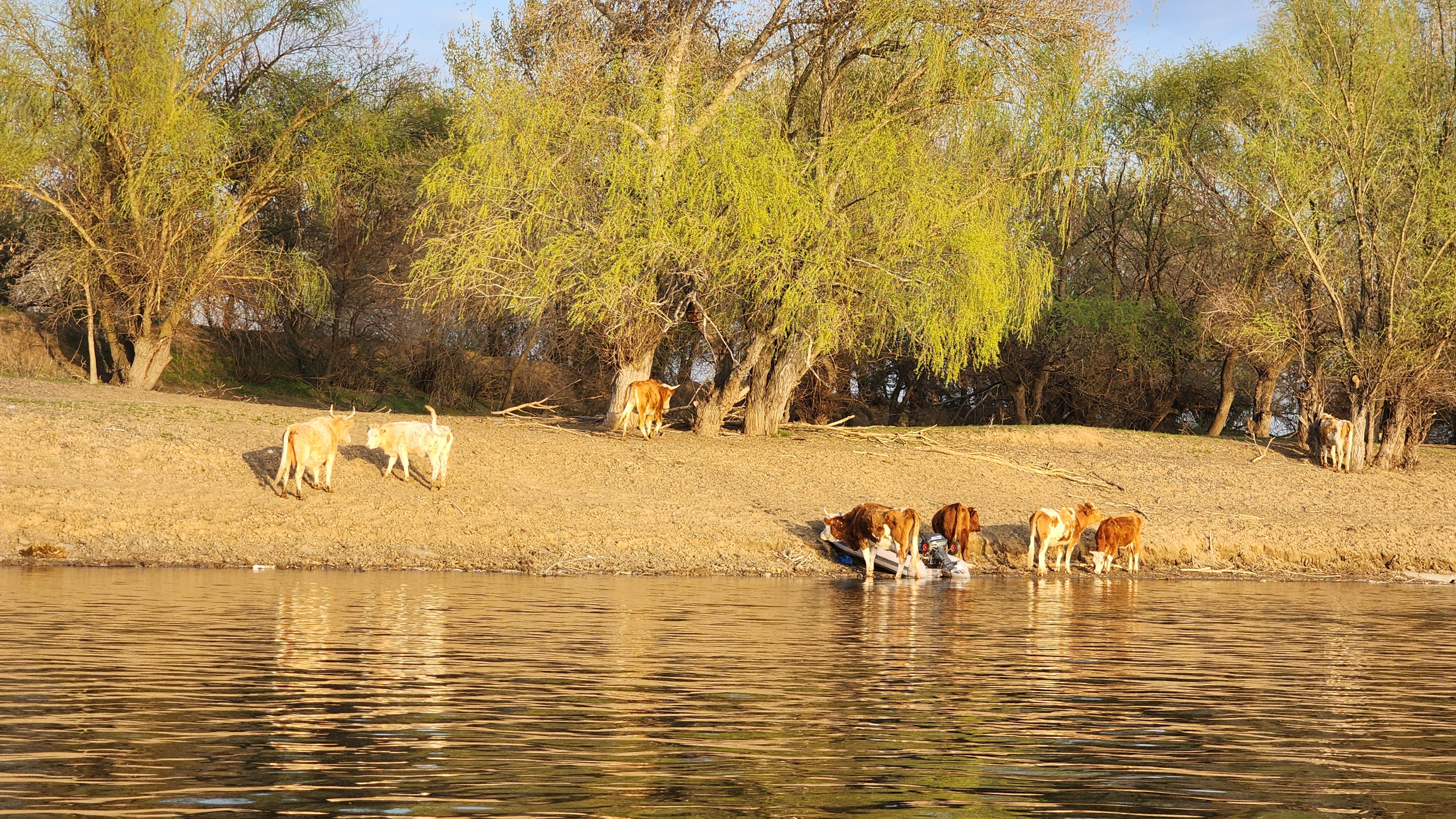 Фото Пристань рыбака