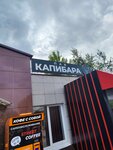 Капибара (ulitsa Dimitrova, 24), bar, pub