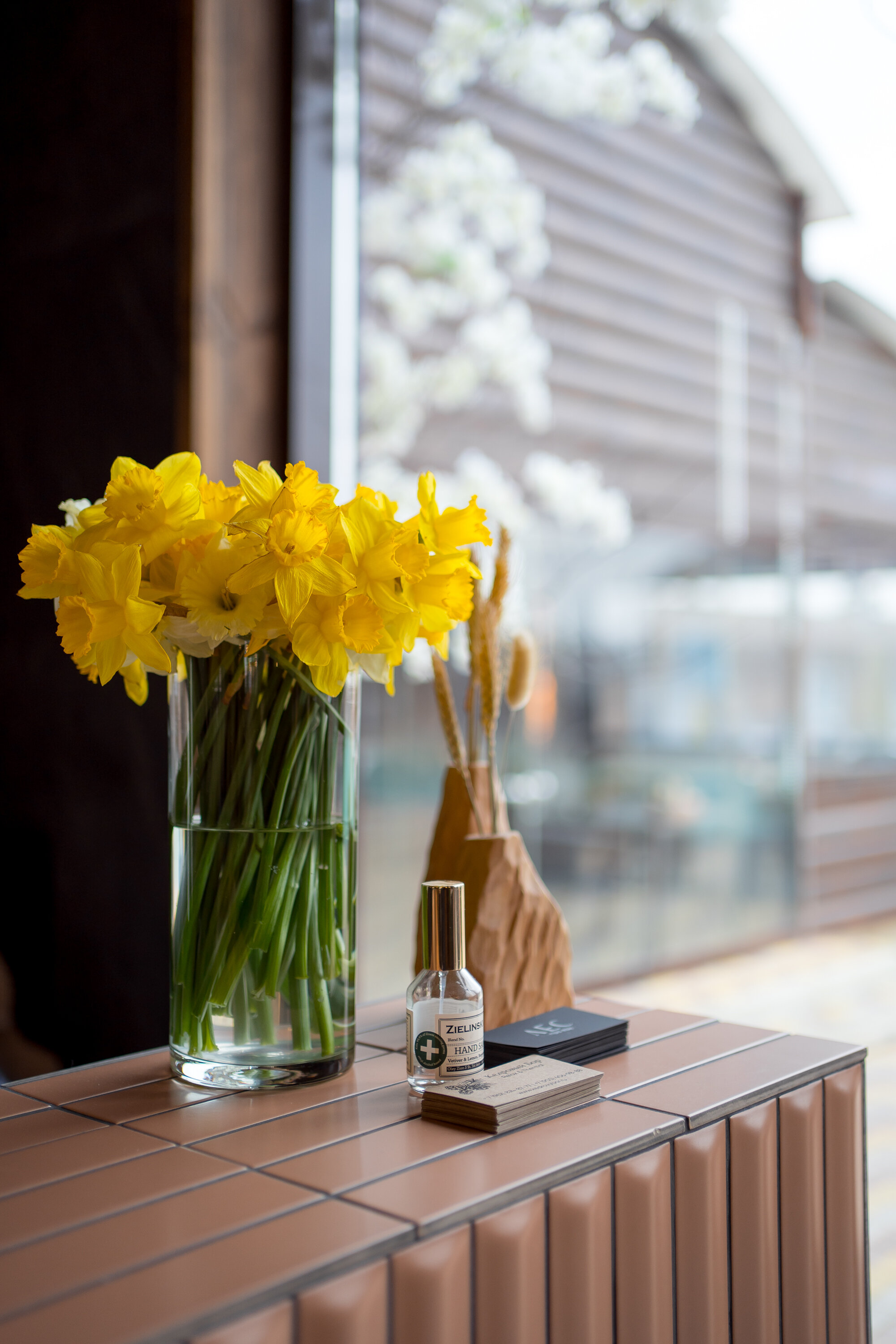 Фото Кедровый бор