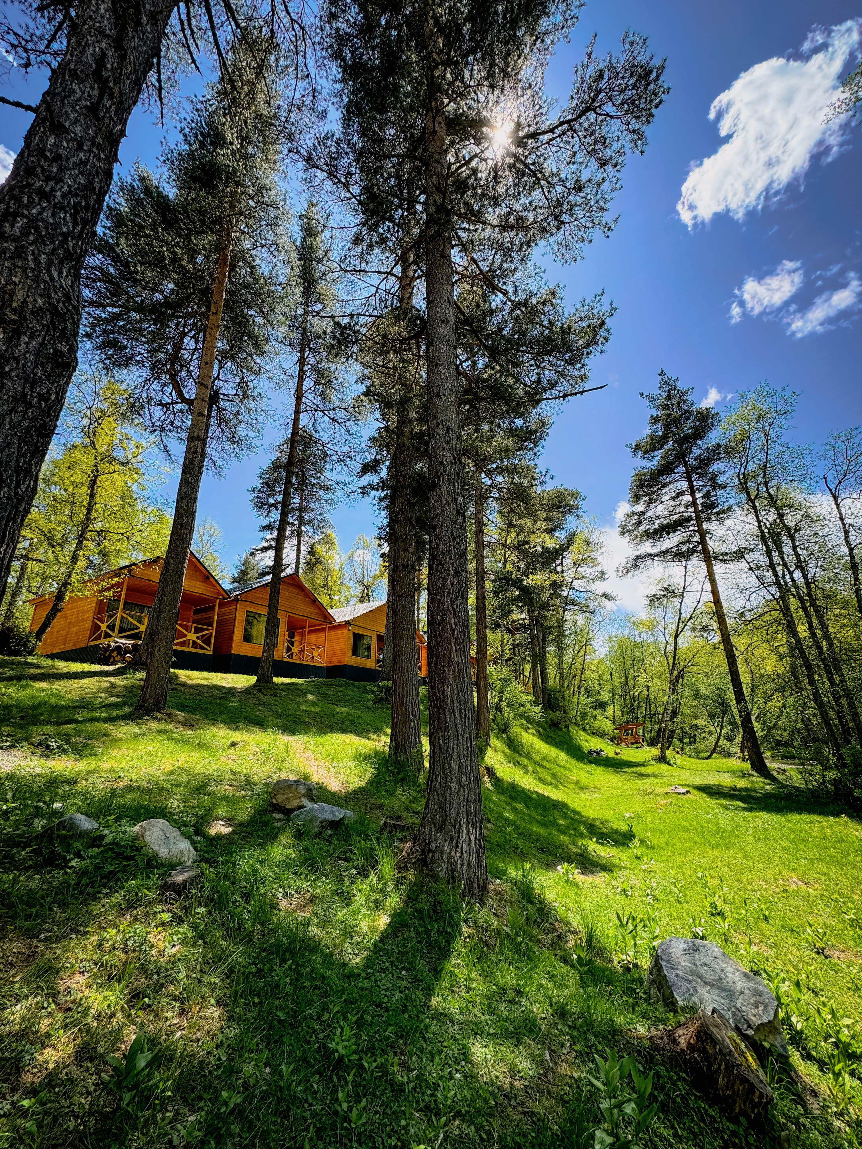 Фото Шале Хвоя