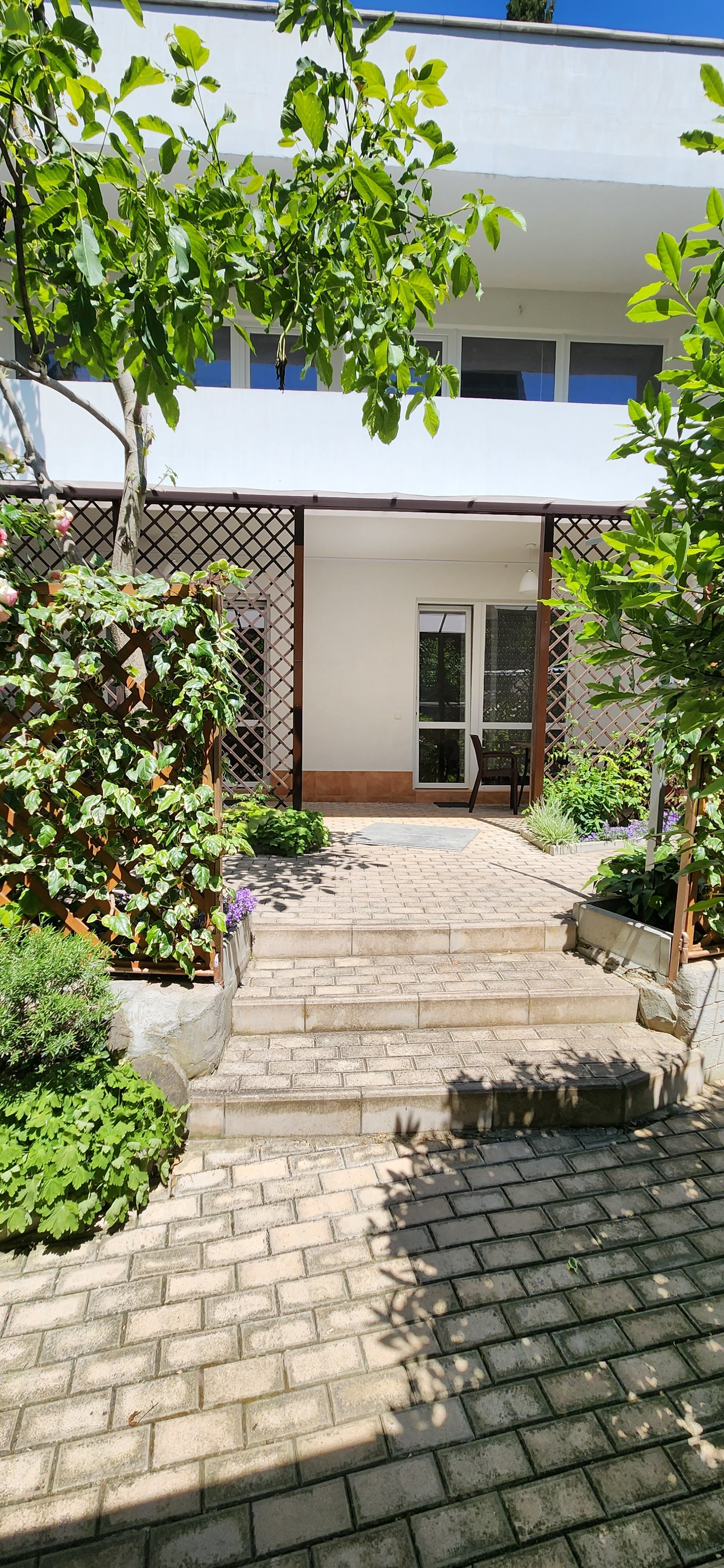 Фото Лаванда на Глазкрицкого