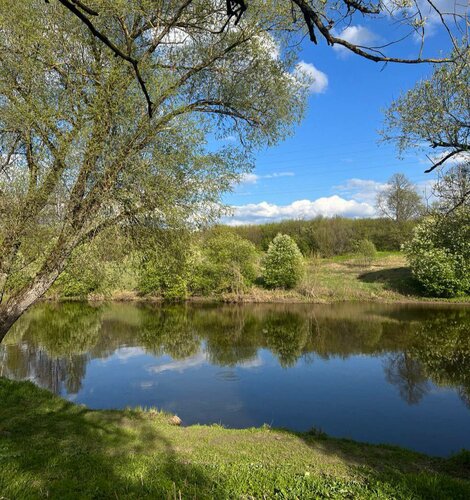 Гостиница River. Dacha