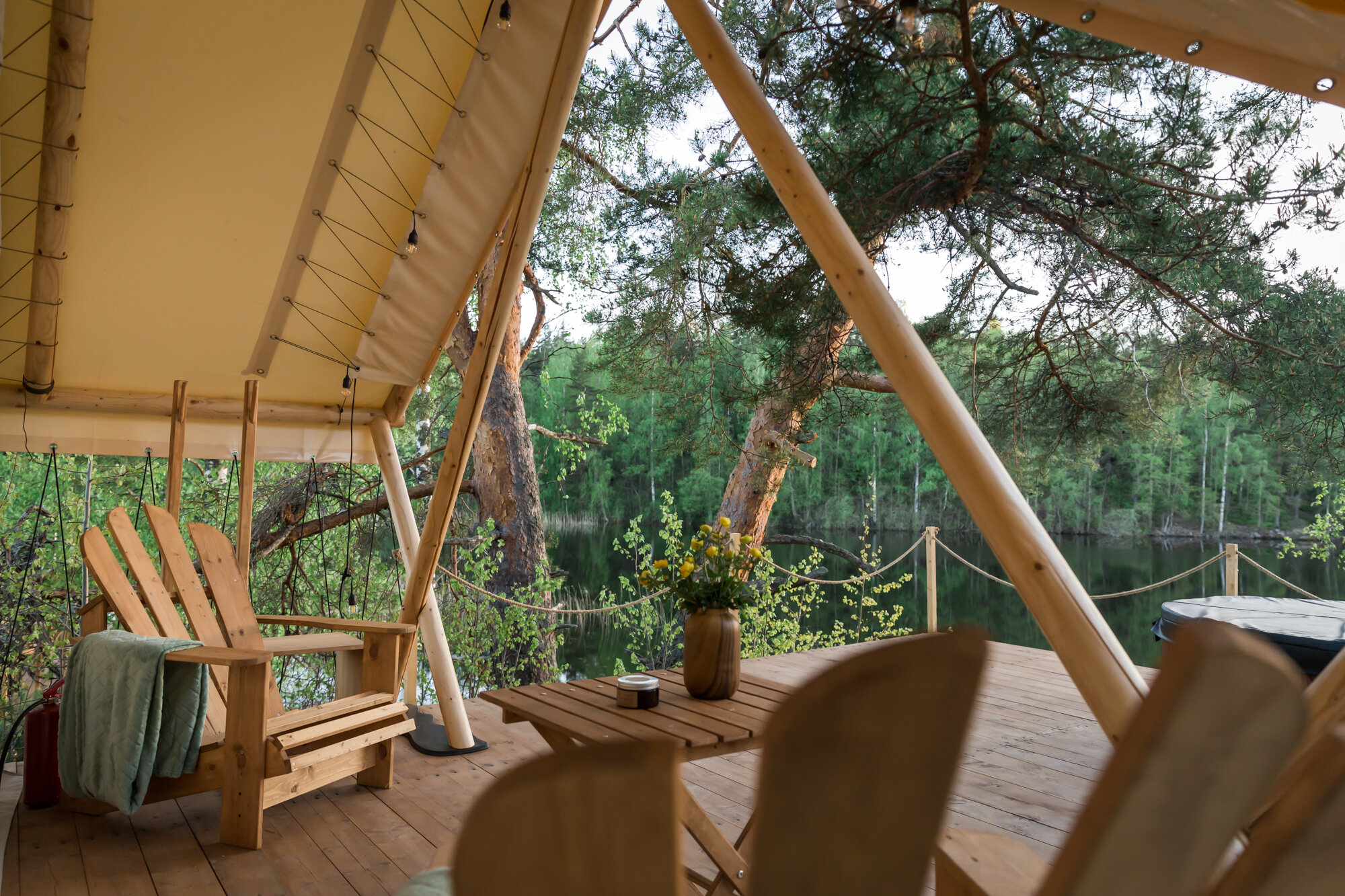 Фото Смородина