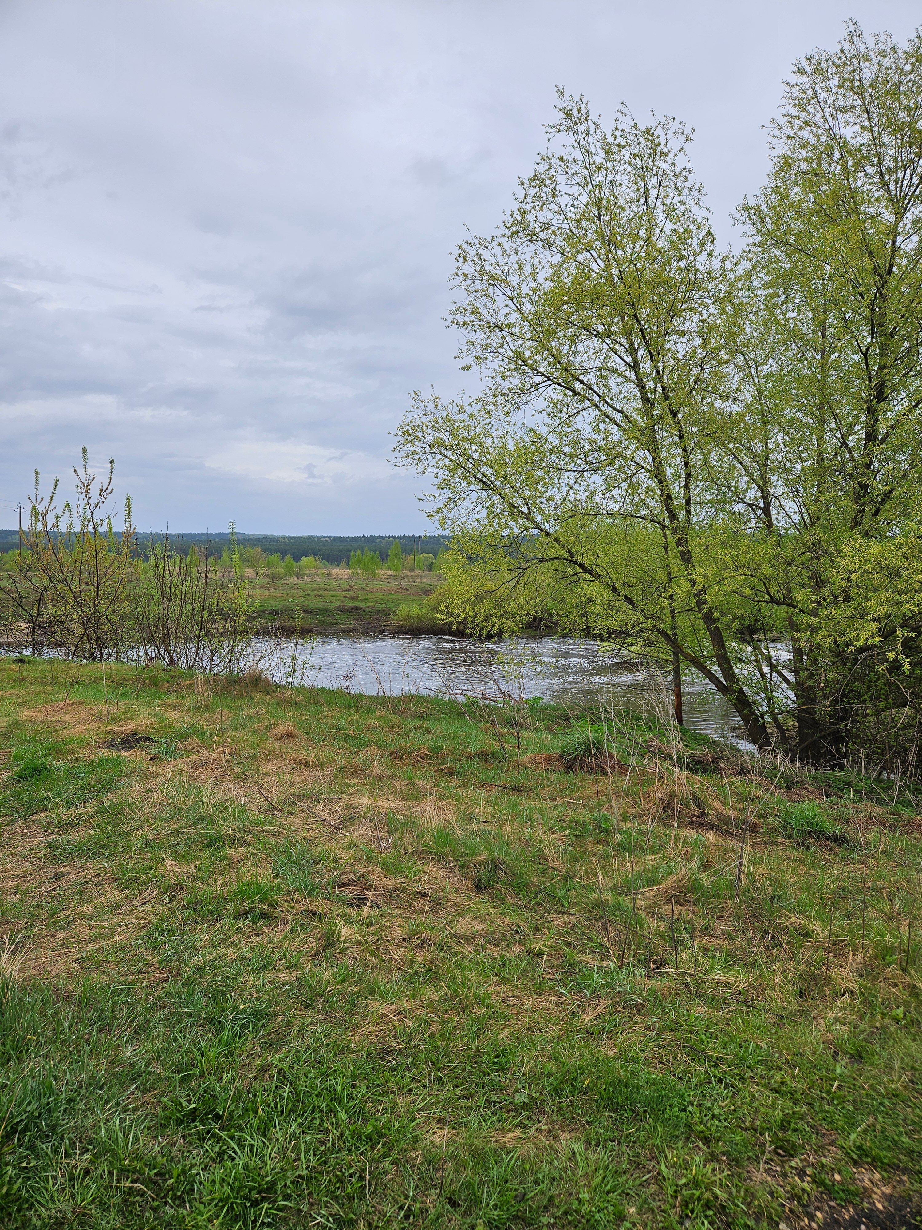 Фото Теремок