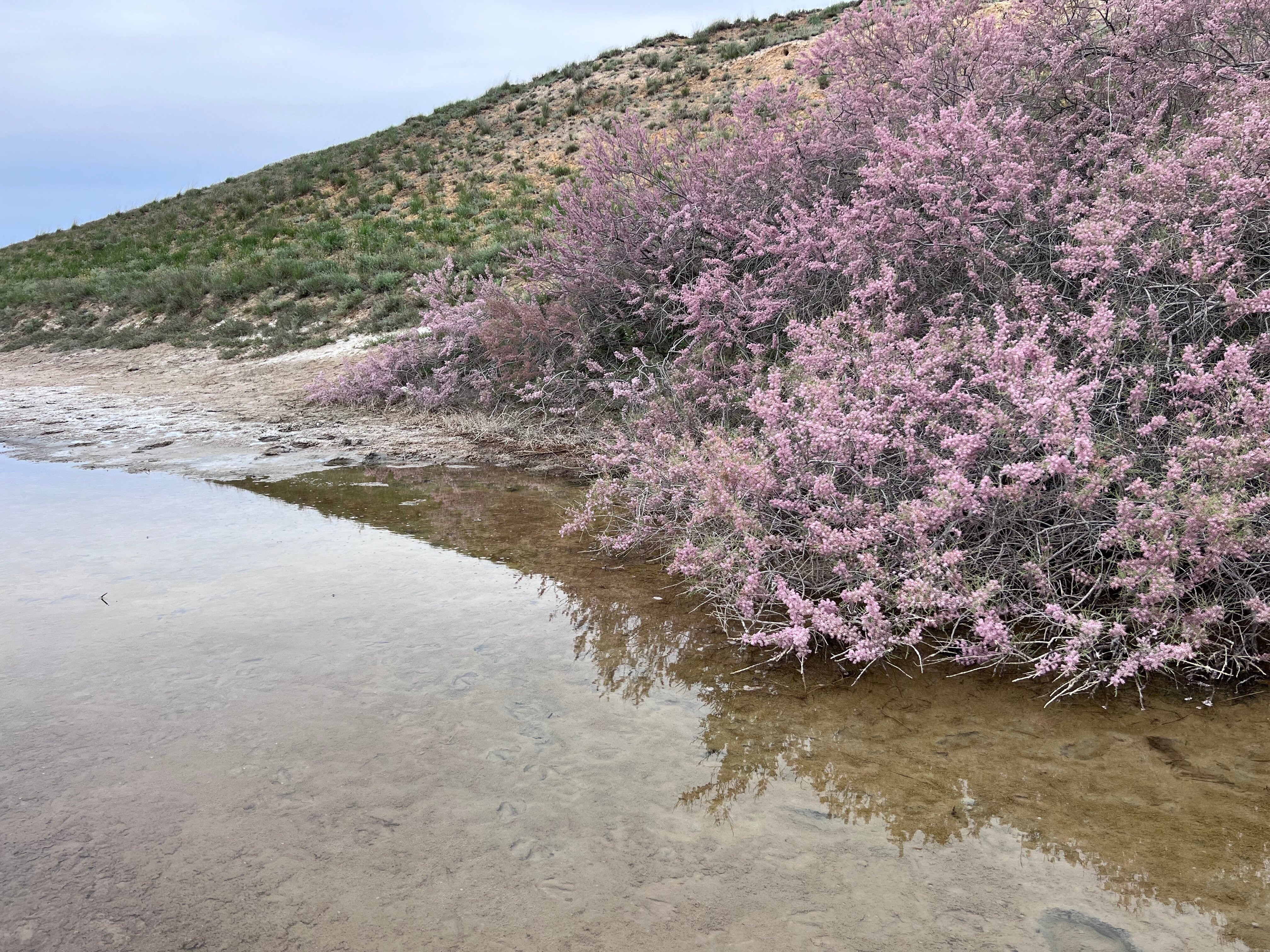 Фото Баскунчак
