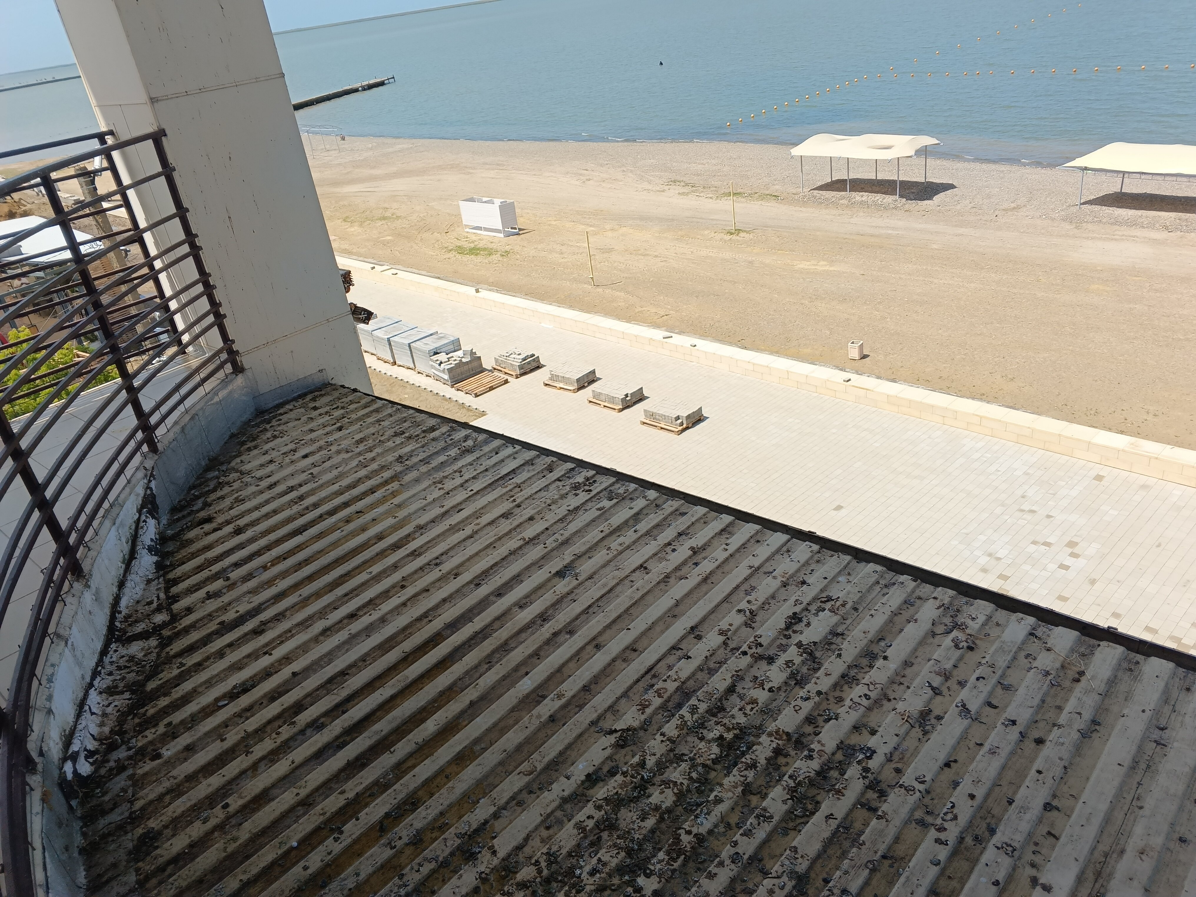 Фото Марисоль