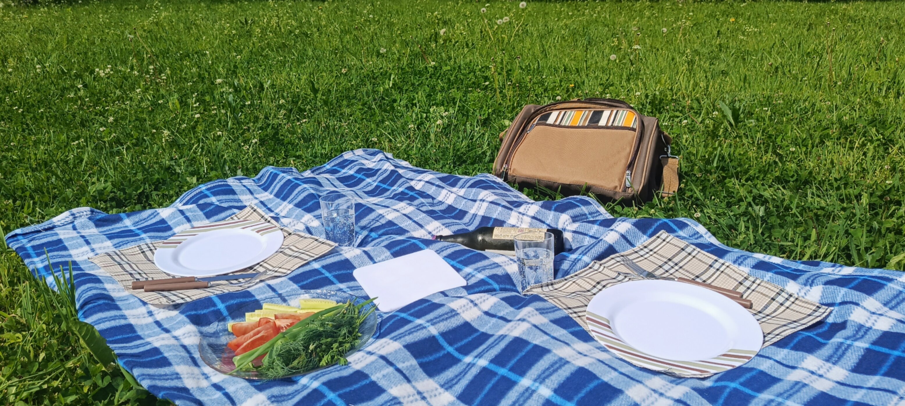 Фото Волшебный лес