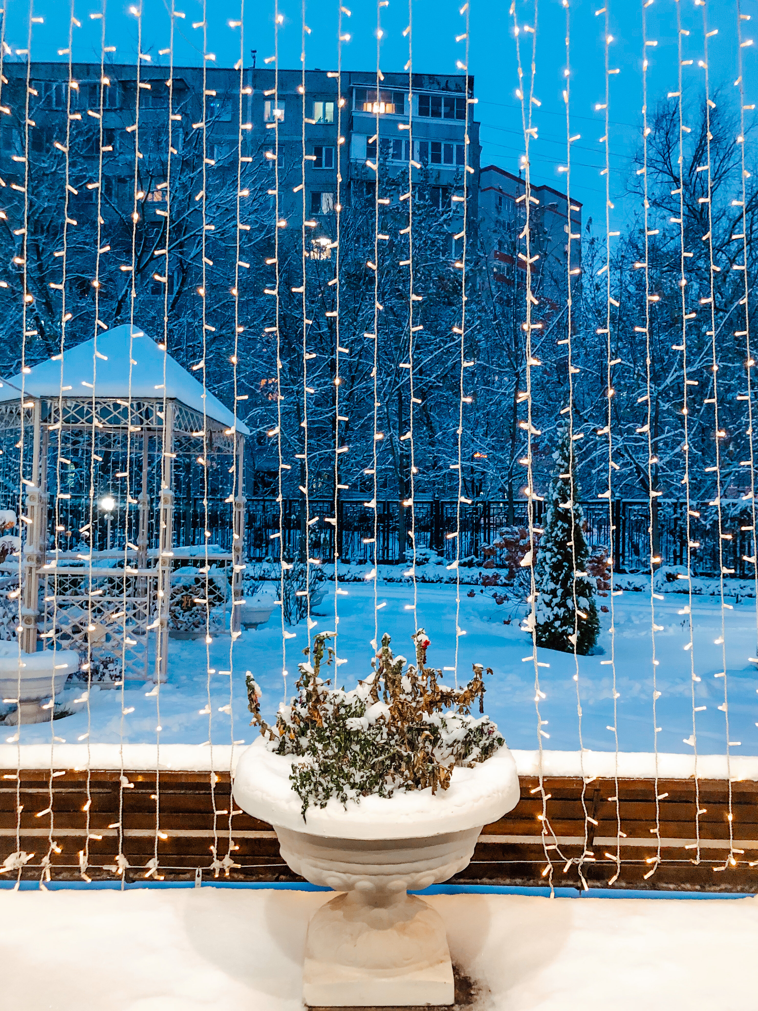 Фото Зуевский