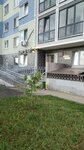 Wildberries (Yuzhnodomodedovskaya Street, 16), punto de entrega