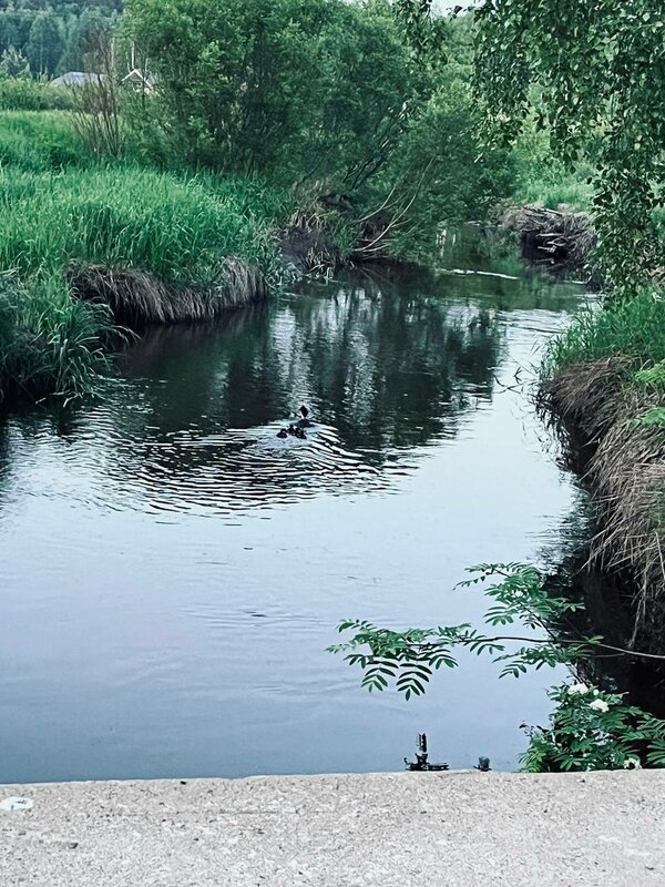 Курорт Илмола — фото 17