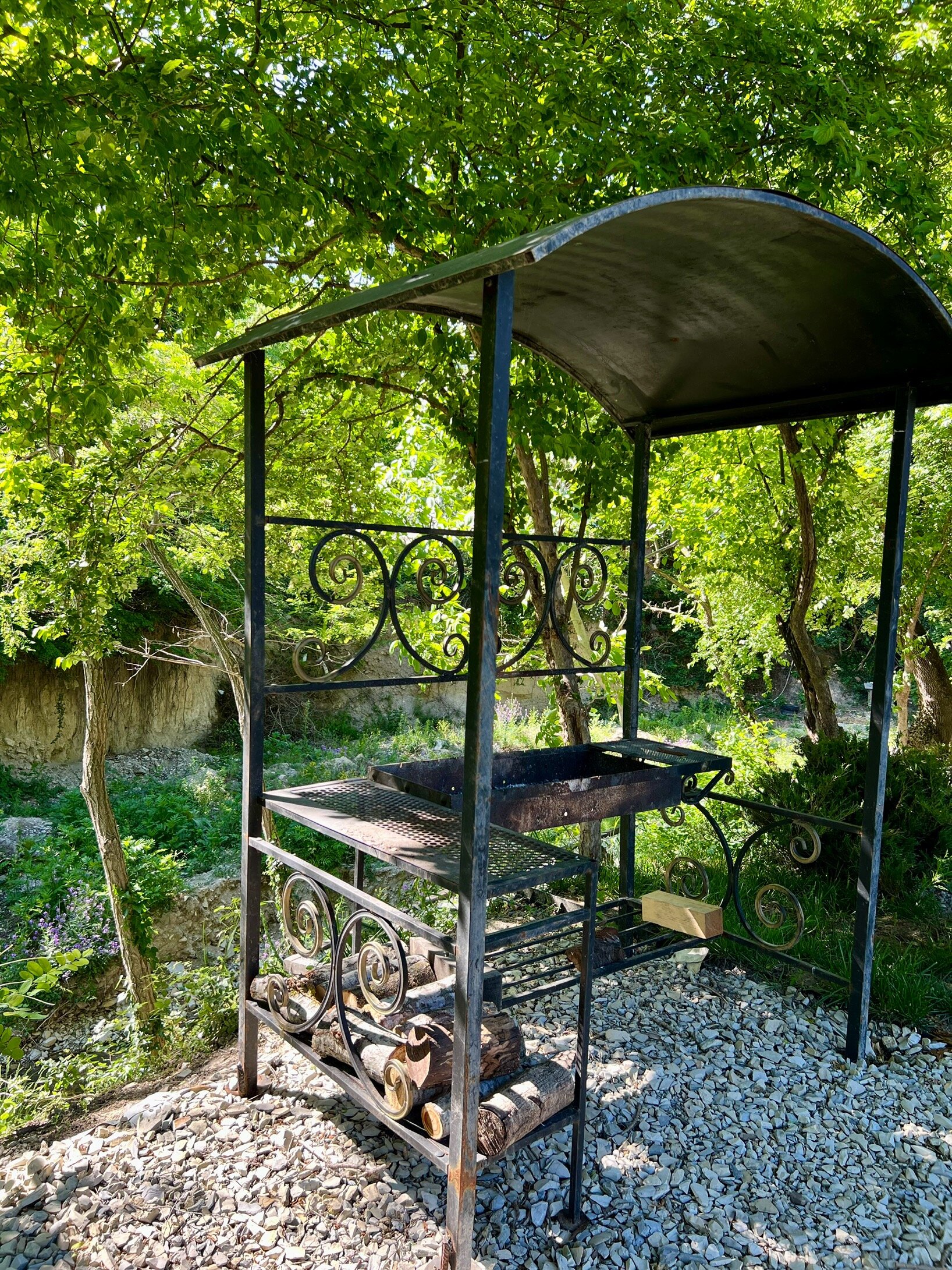 Фото Ромашка