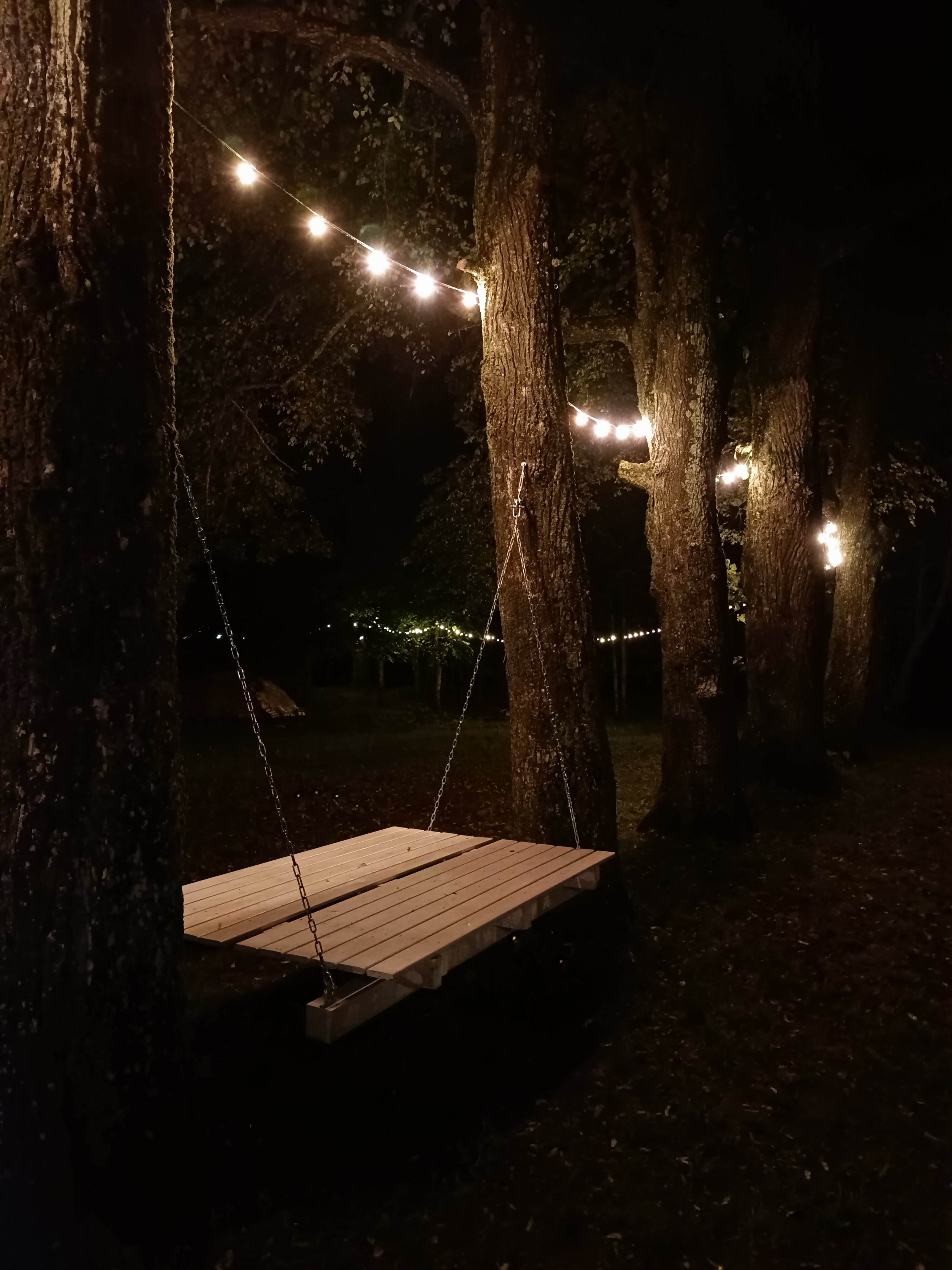 Фото Романовъ home