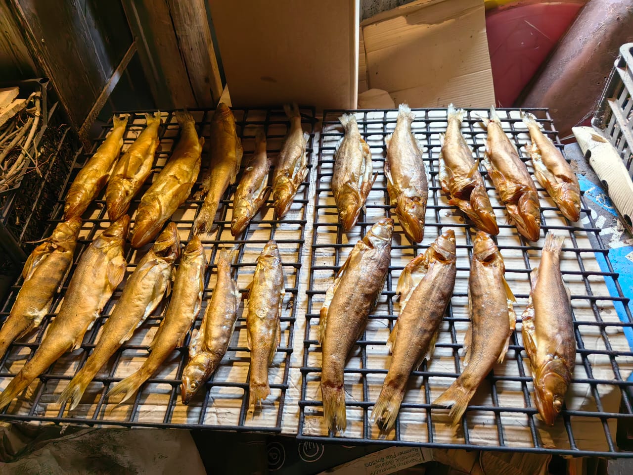 Фото Сорочьи горы