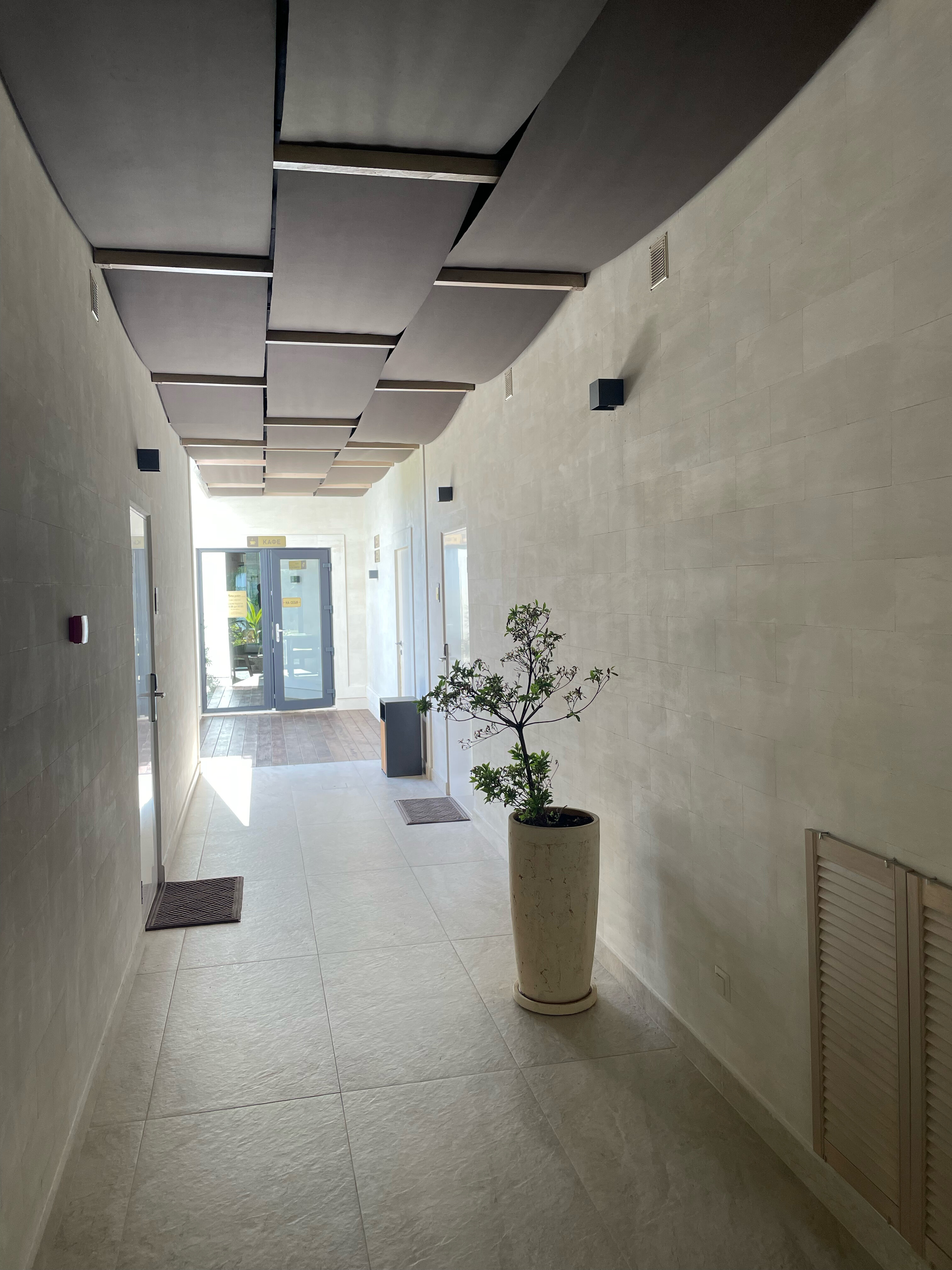 Фото Little Palm