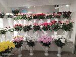 Flowers (Baumana Street, 2), flower shop