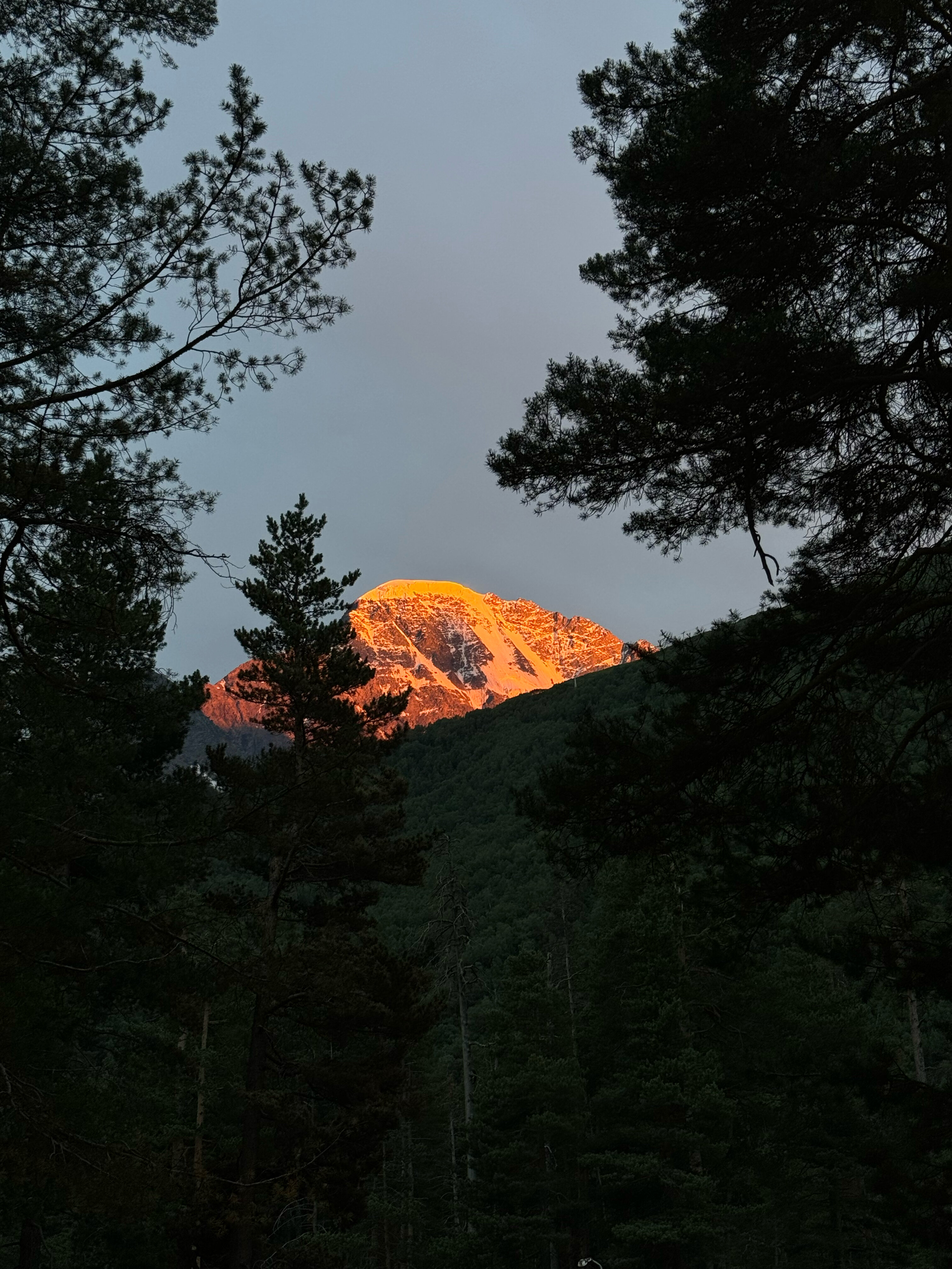 Фото Блэк Поинт