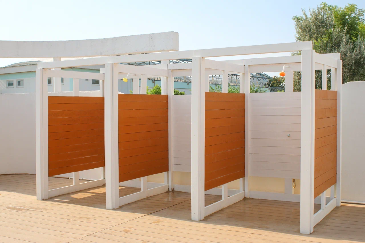 Фото Возрождение