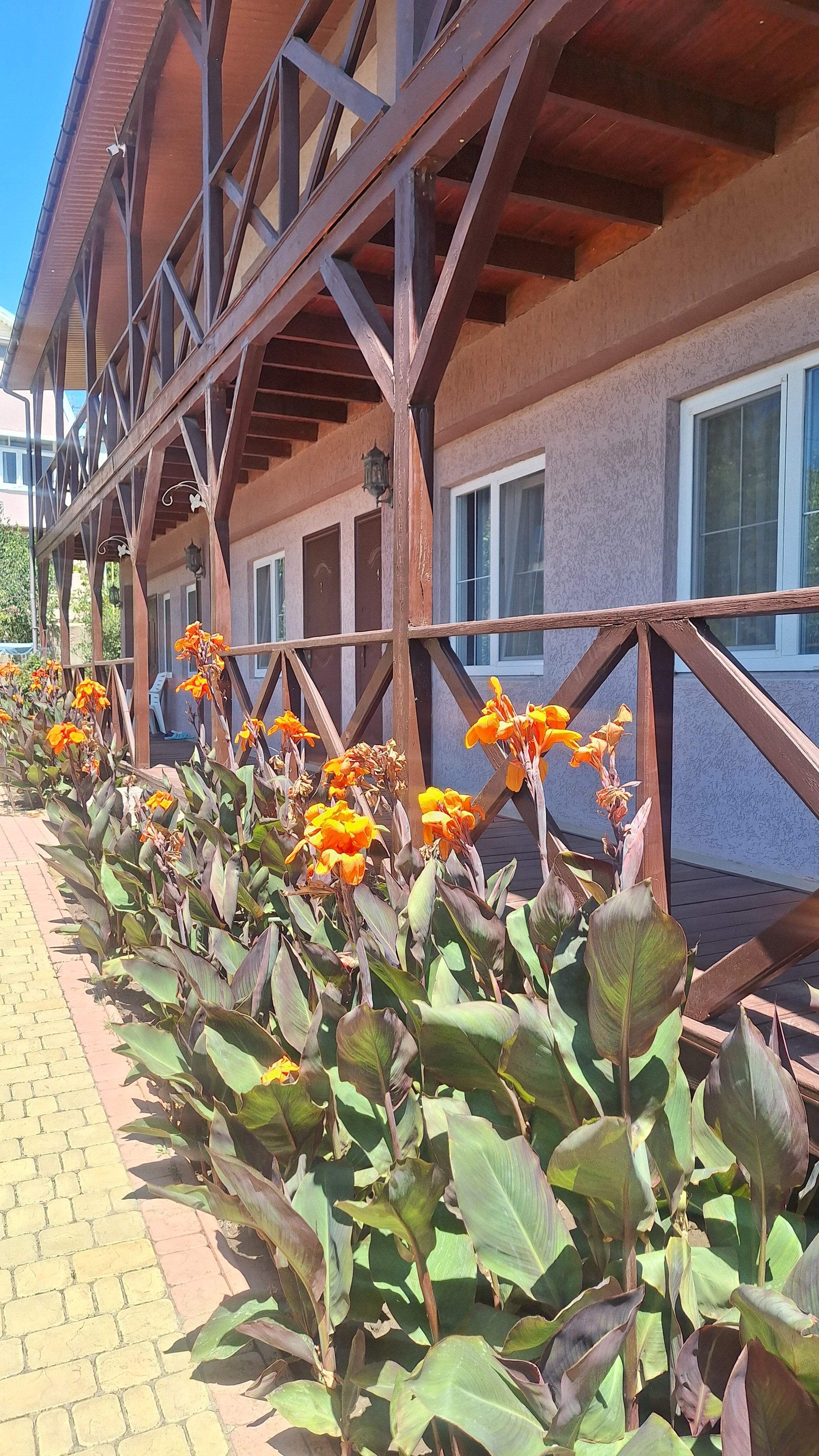 Фото отеля 5