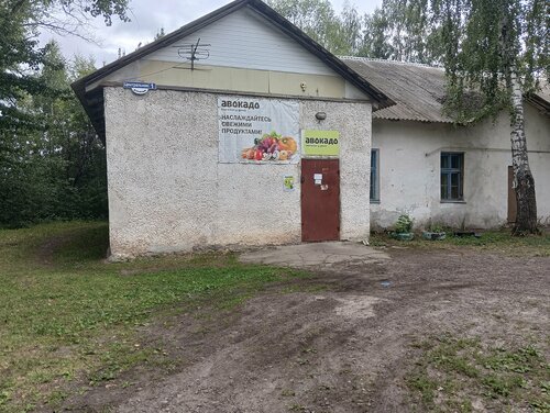 Grocery Авокадо, Ryazan Oblast, photo