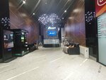 Skillbox (Toktogul Street, 125/1), cursos y clases magistrales